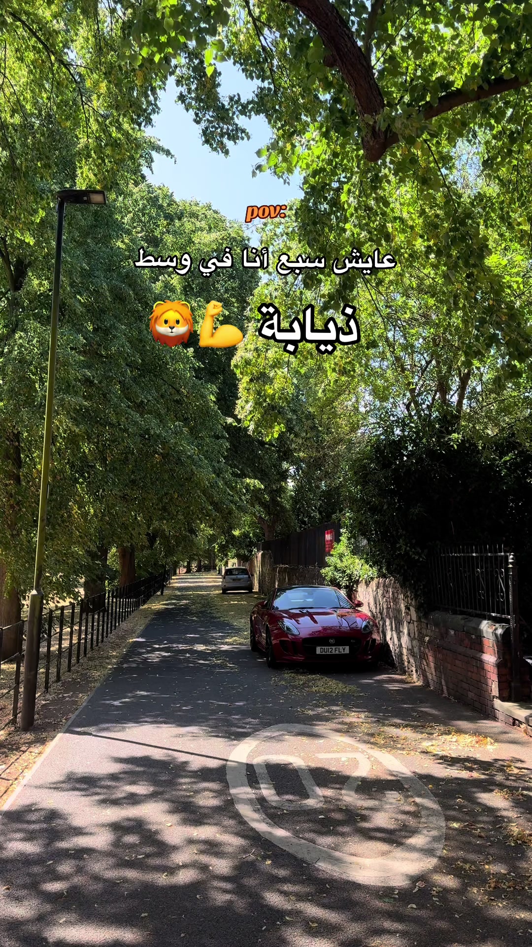 @Hamza_UK 🇩🇿🇬🇧