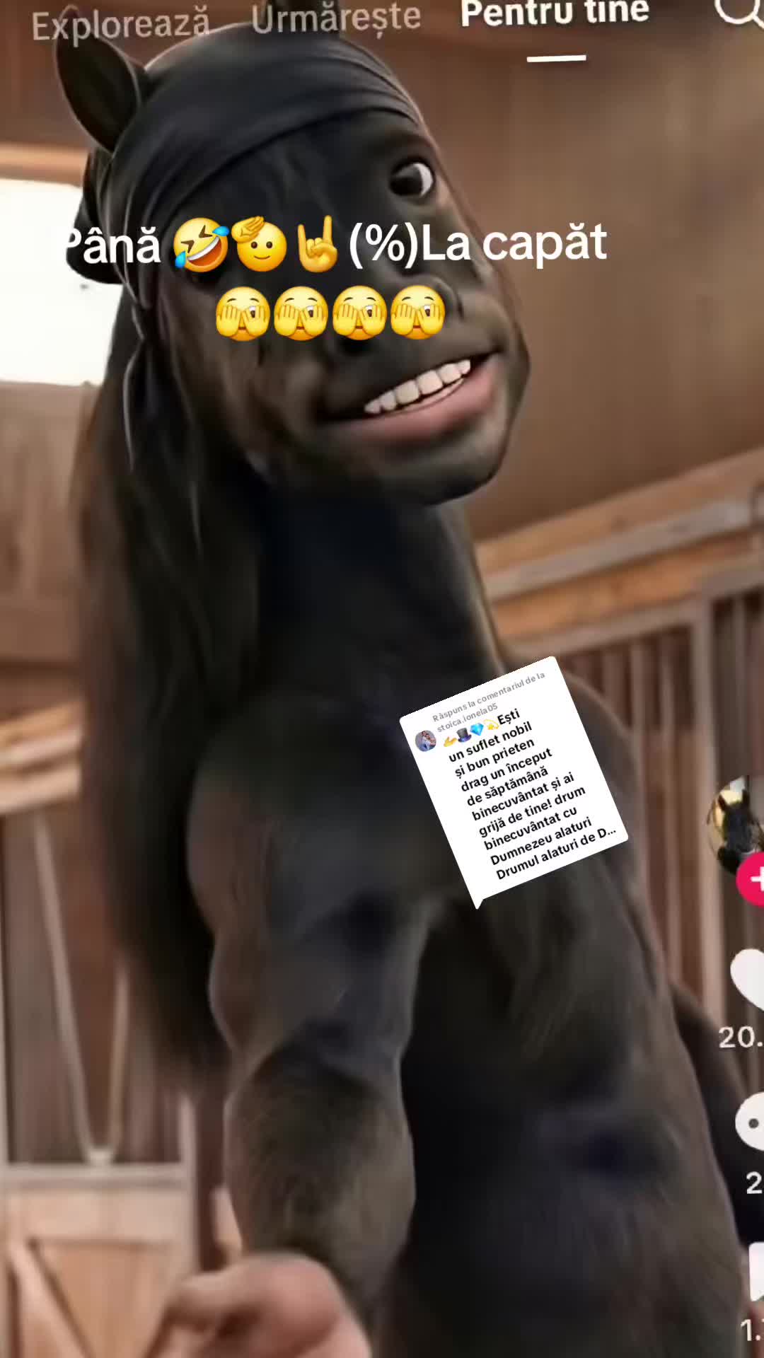 @Sorin