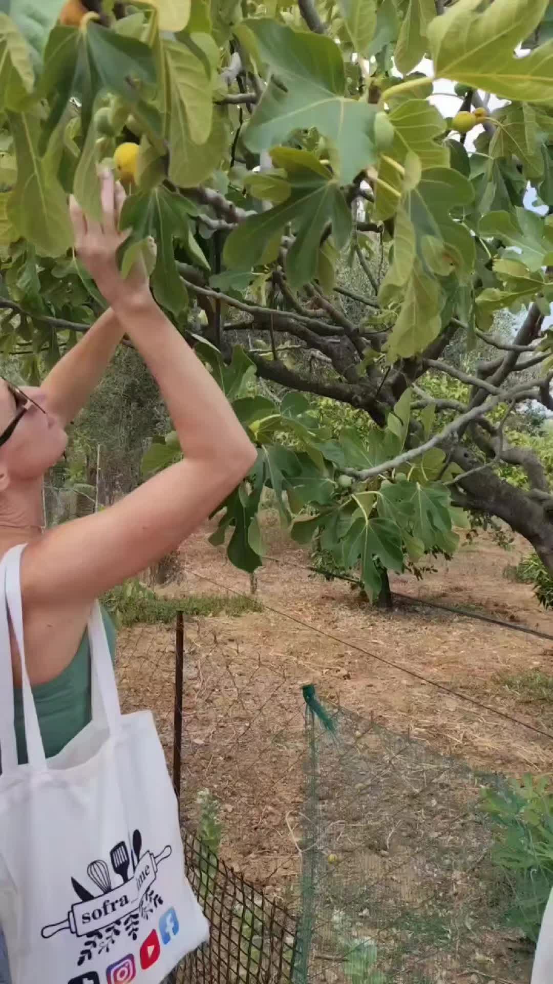 @Sofra__ime