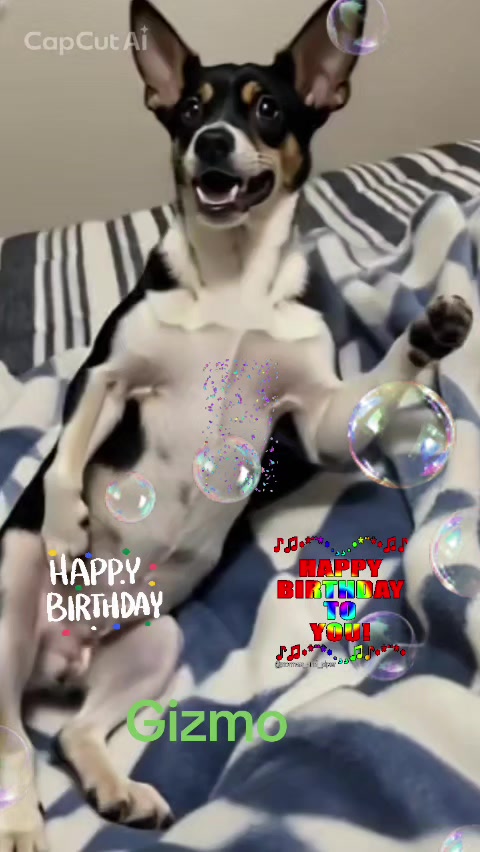 @userdogcharlie21