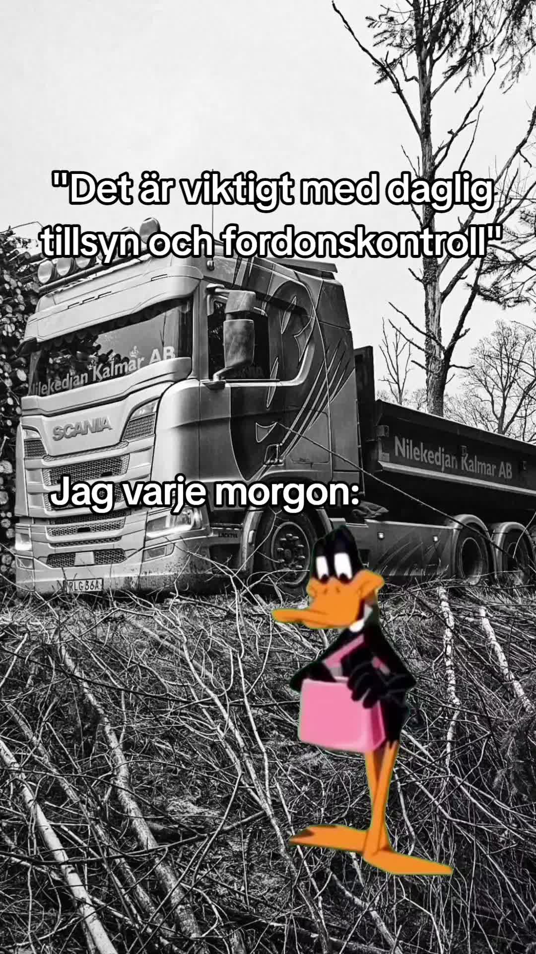 @Emelie Axelsson