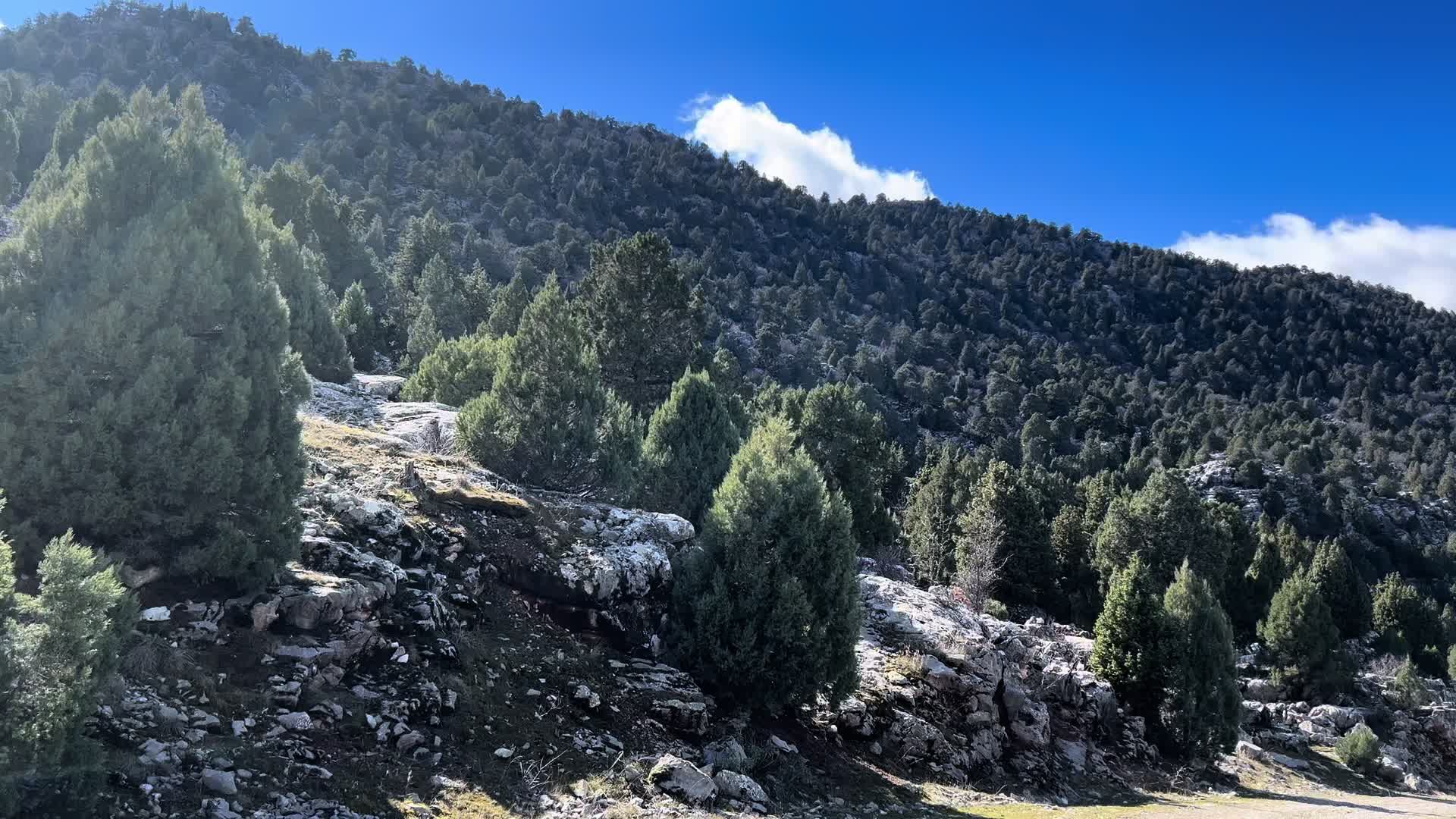 @Süleyman Ali Meleş