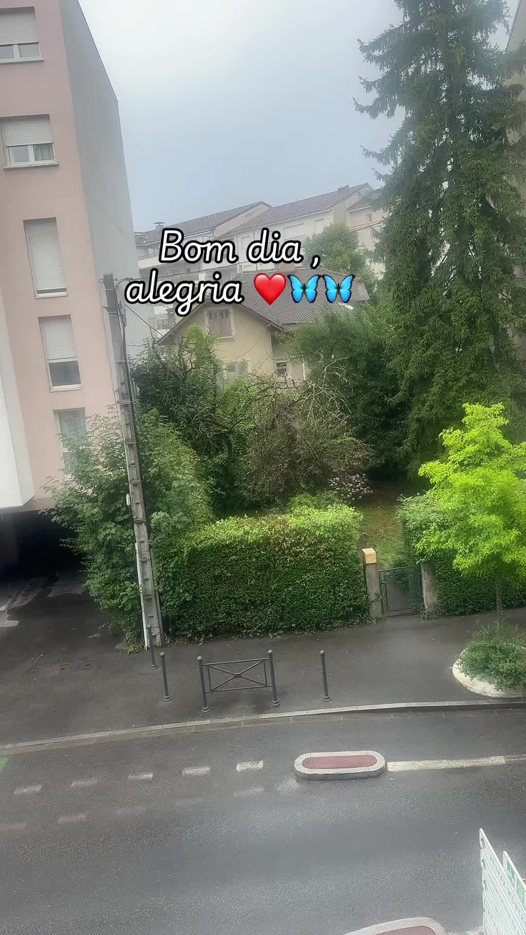 @Sofia Inácio