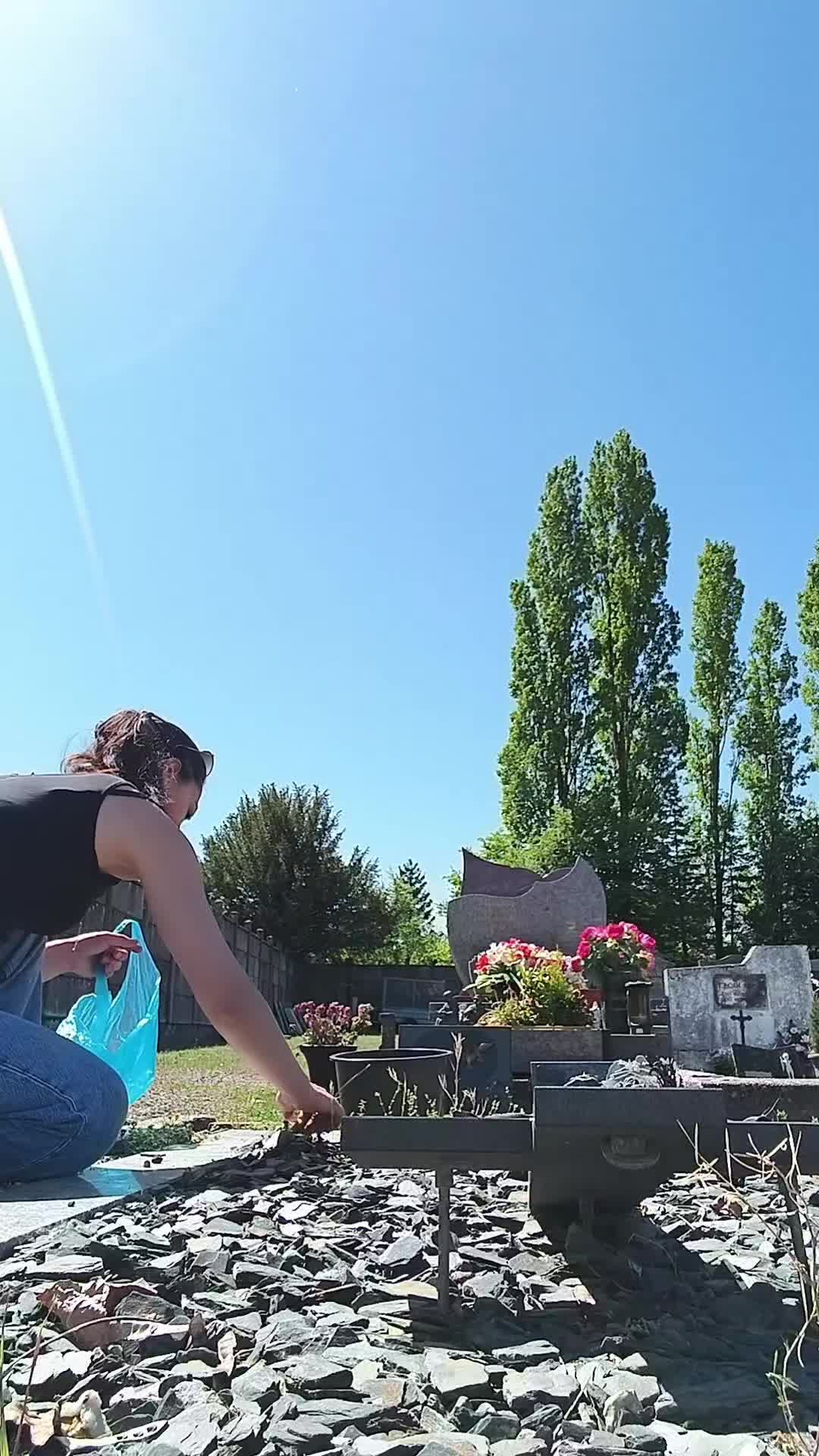 @noelya