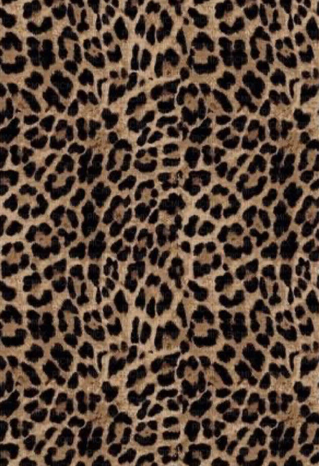 @💗࡛ an̄iya̱h⊹ 🐆