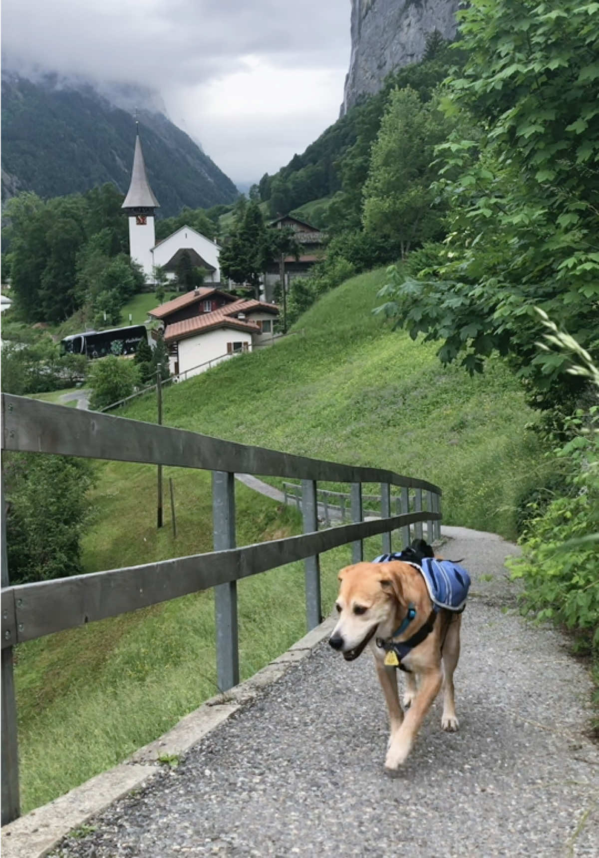 @SwissForestElf