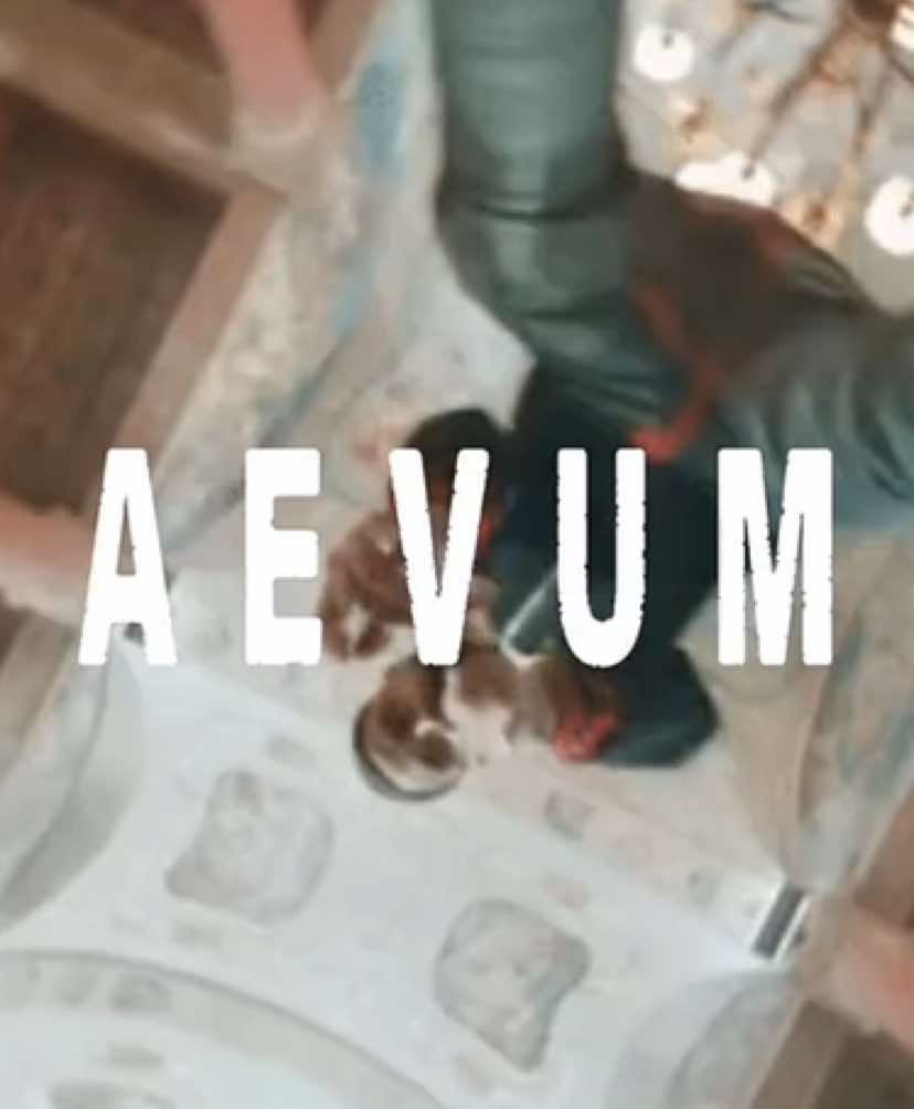 @Aevum