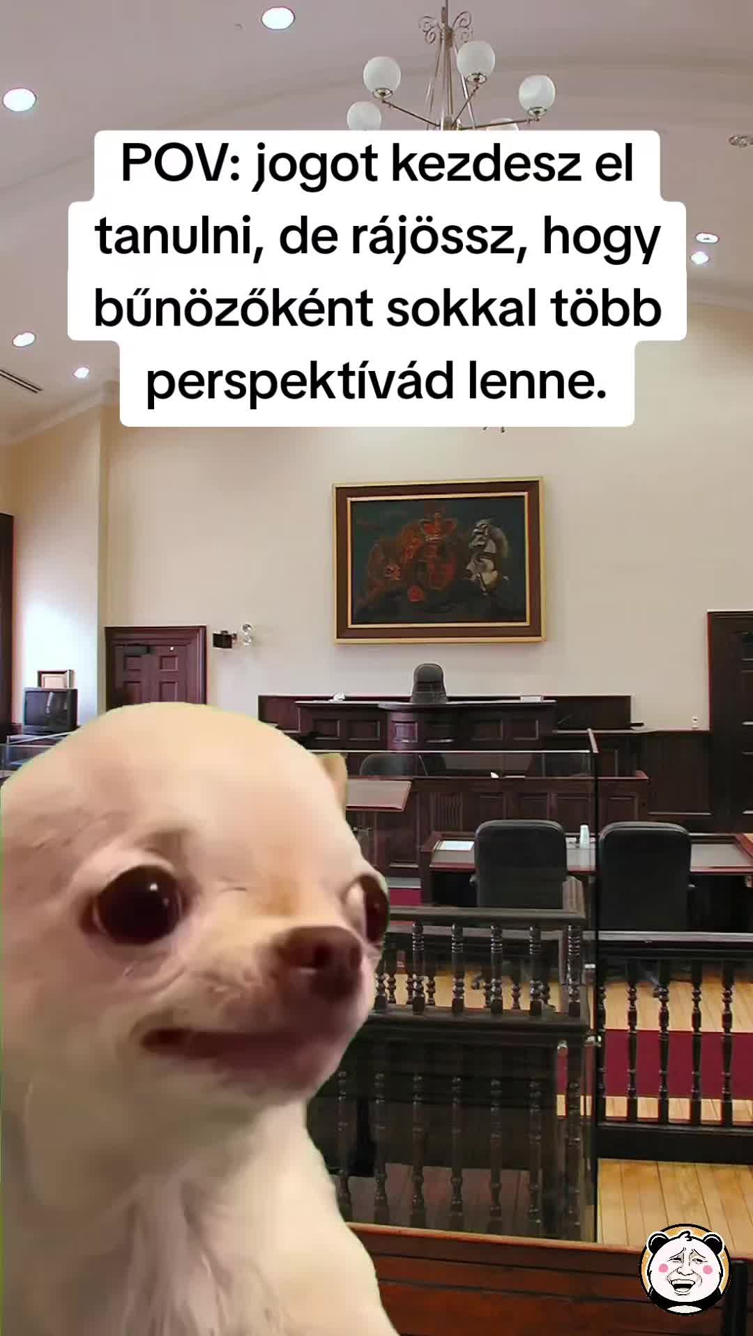 @🐼 Po&eacute;nPanda 🐼