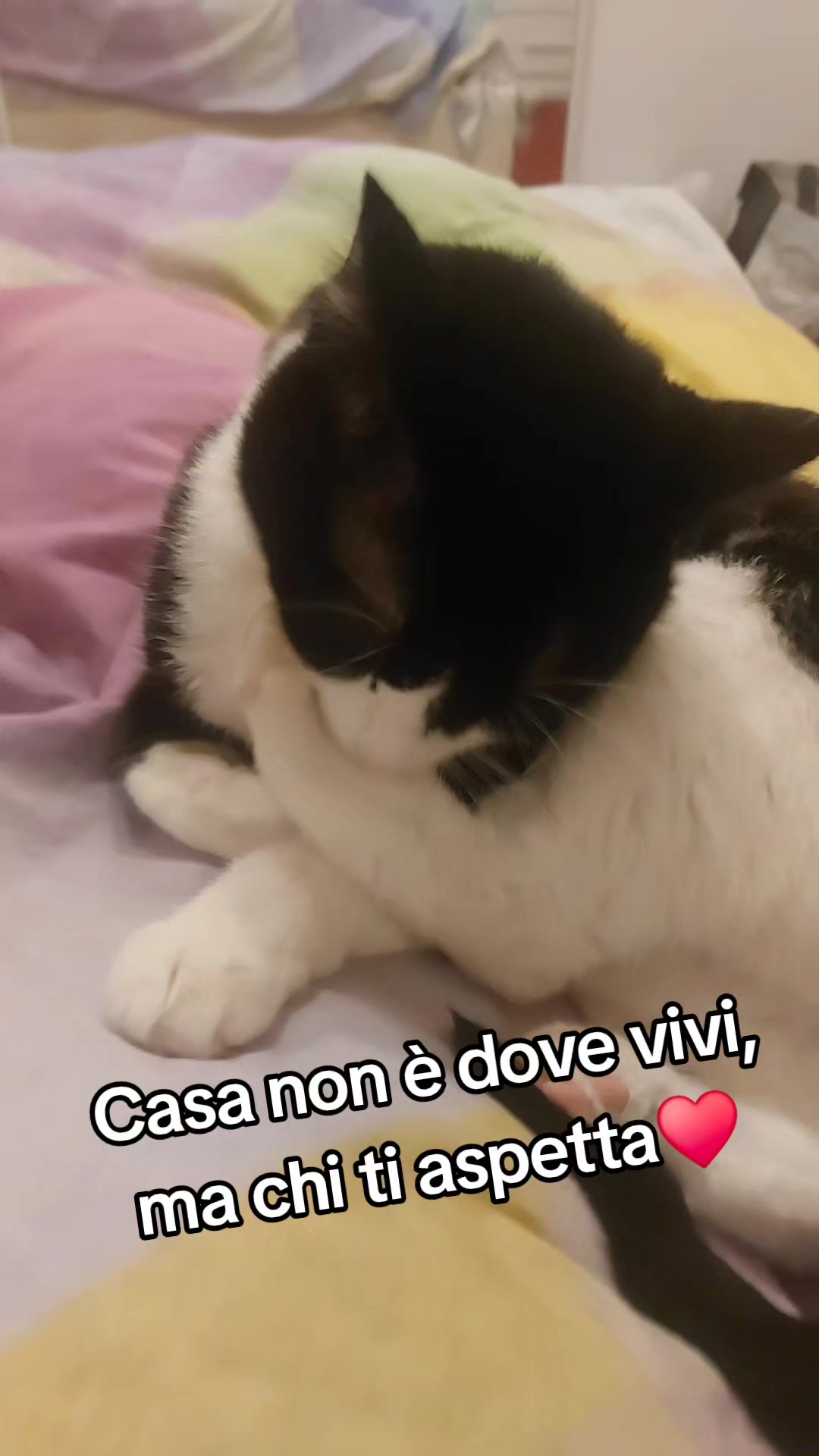 @LauraMarchetti1980