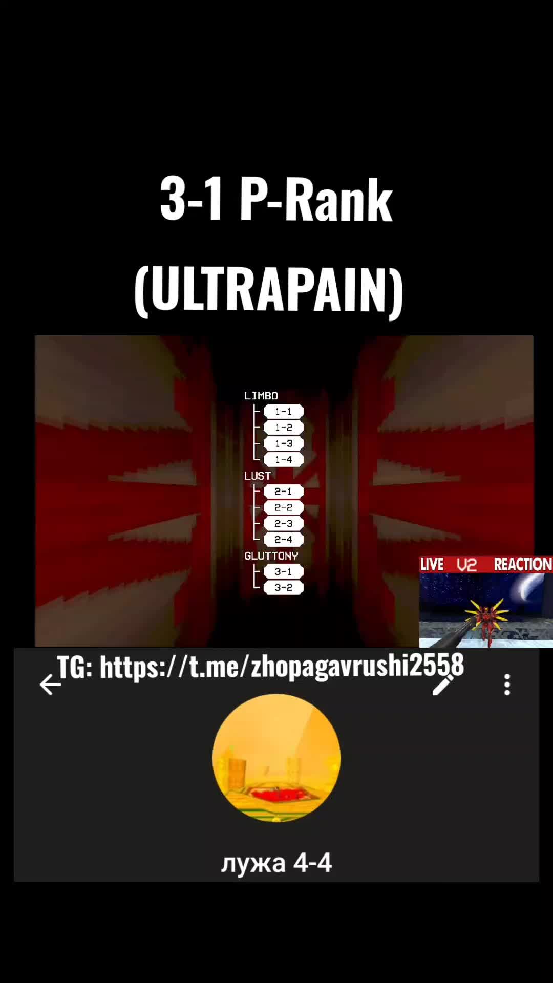 @kvASS2558