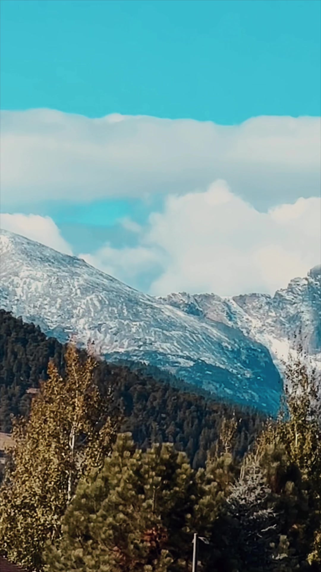 @Estes Pines
