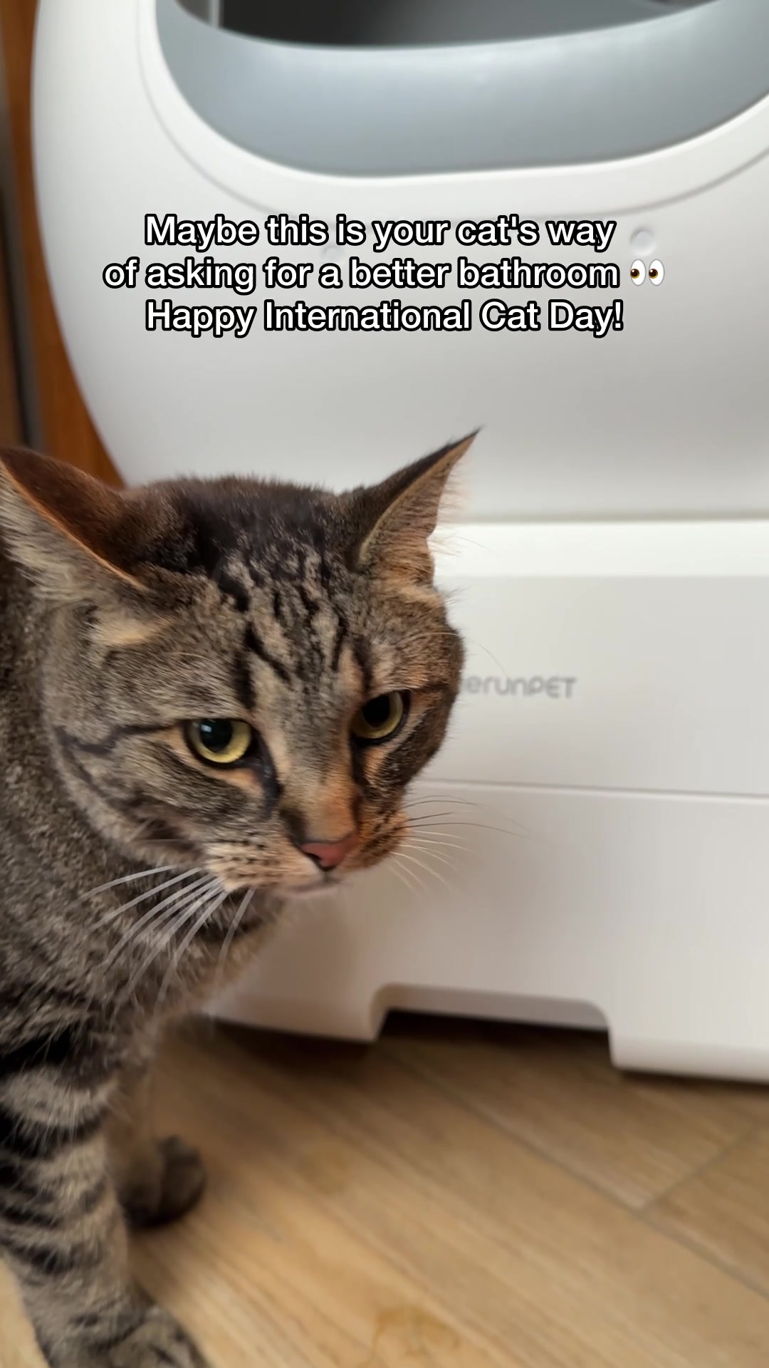 @Chip The Manx