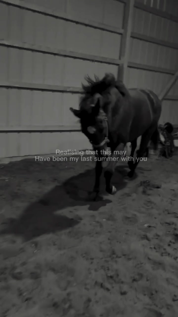 @🐎Aby 😌👌✨️