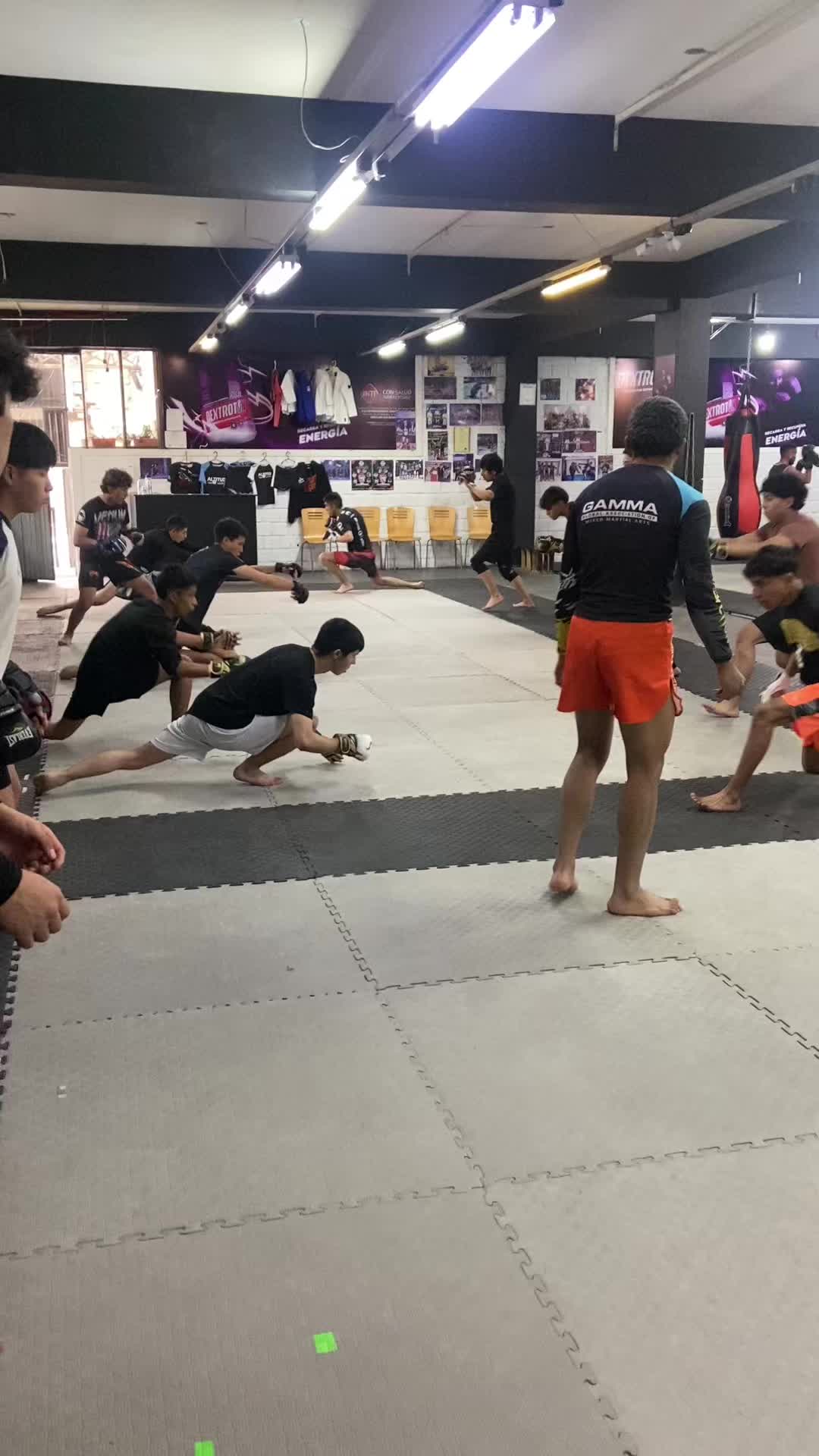 @Altitud MMA