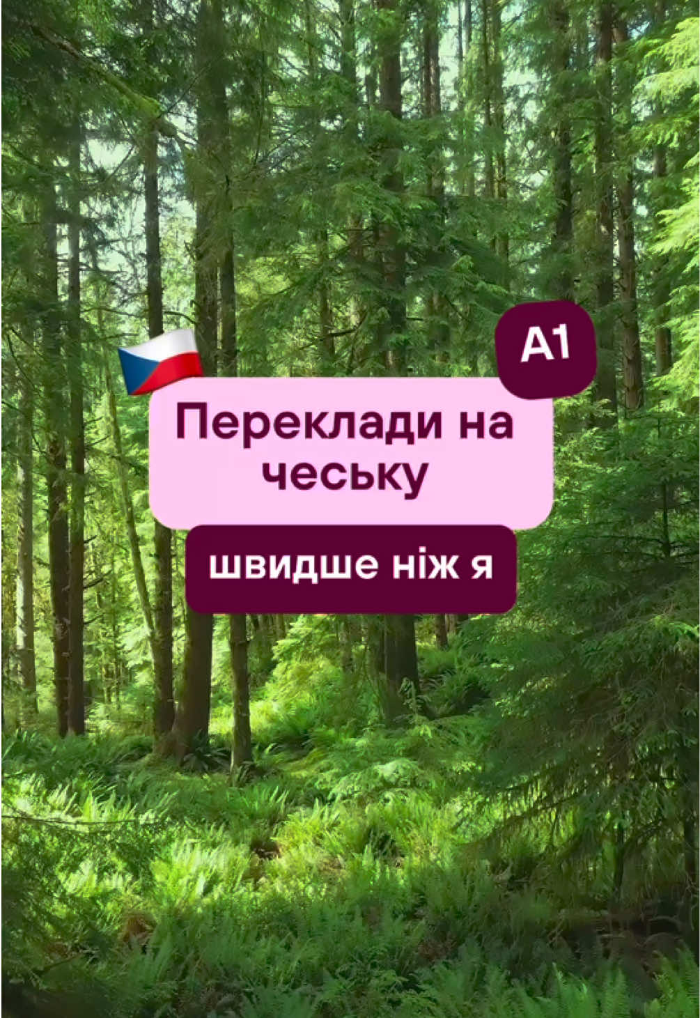 @Артем | Чеська мова | KOVER