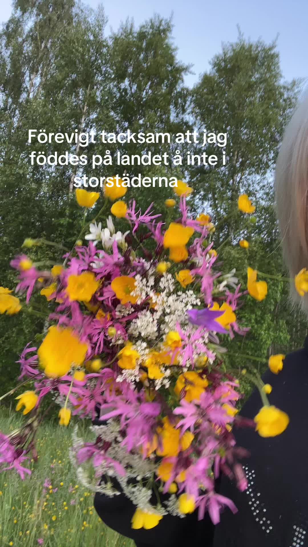 @Freja🦖