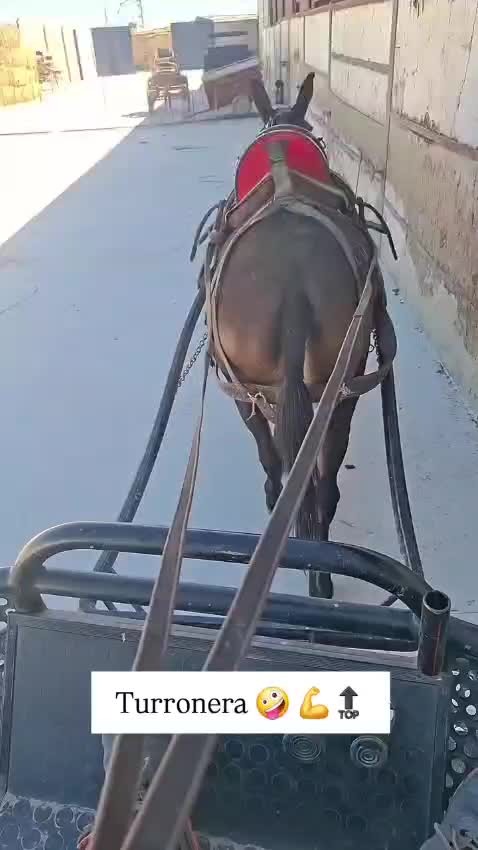 @José_Amodeo_013