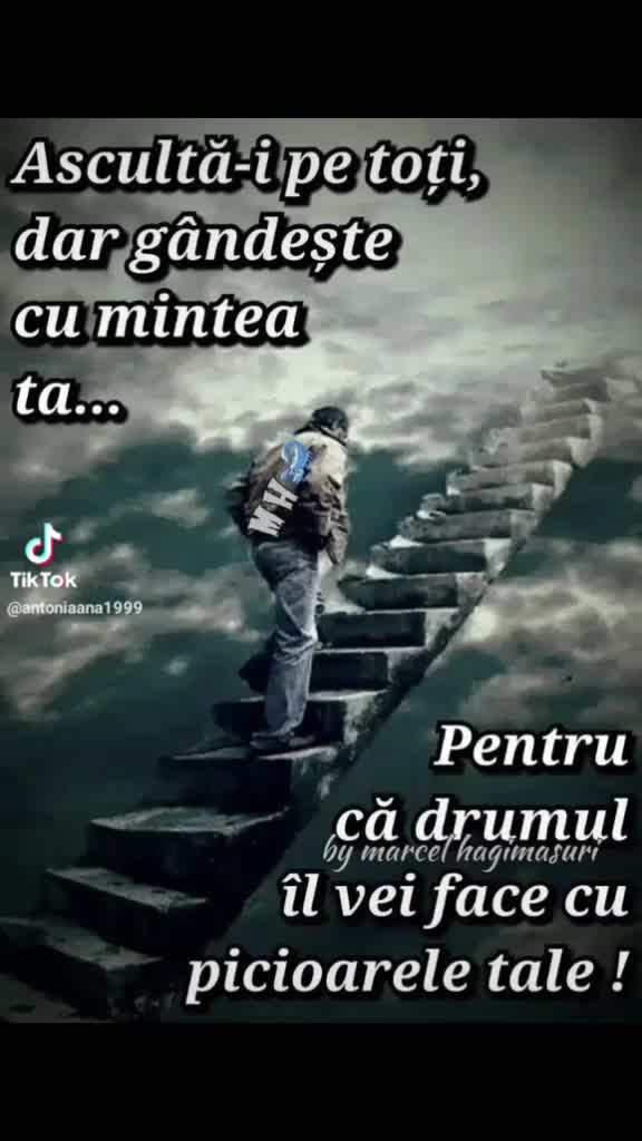 @mariamirela946