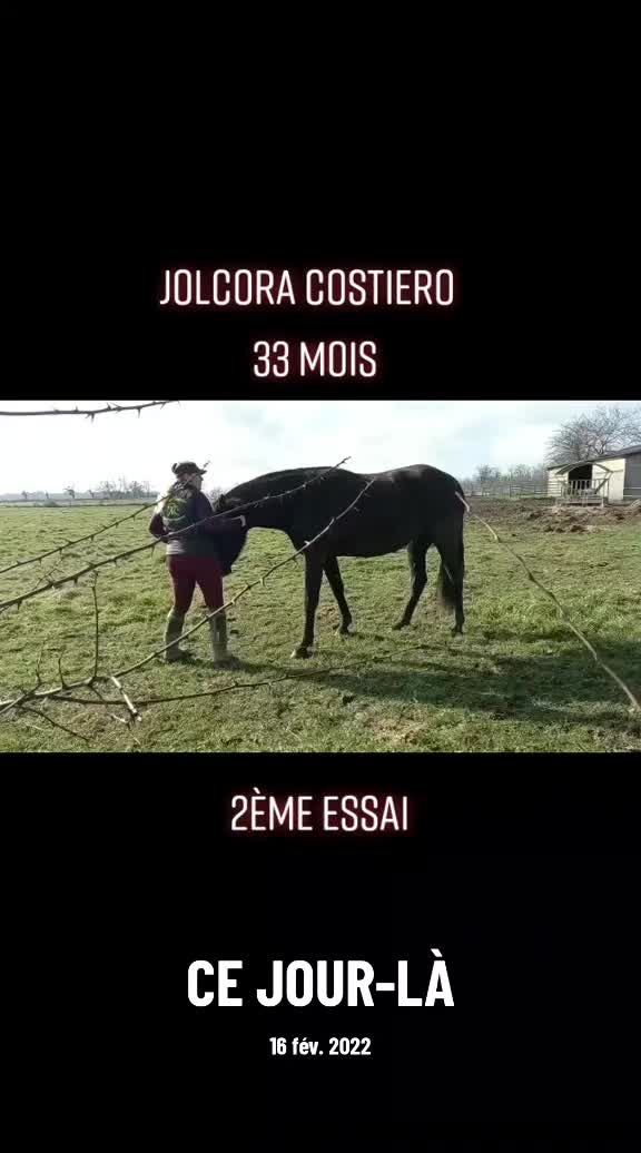 @Elevage Costiero
