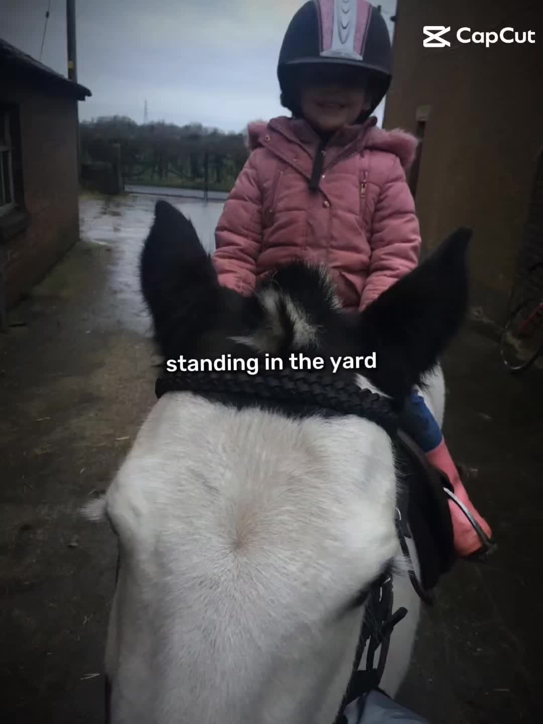 @Maggie + millie = ❤️ 💖 💓