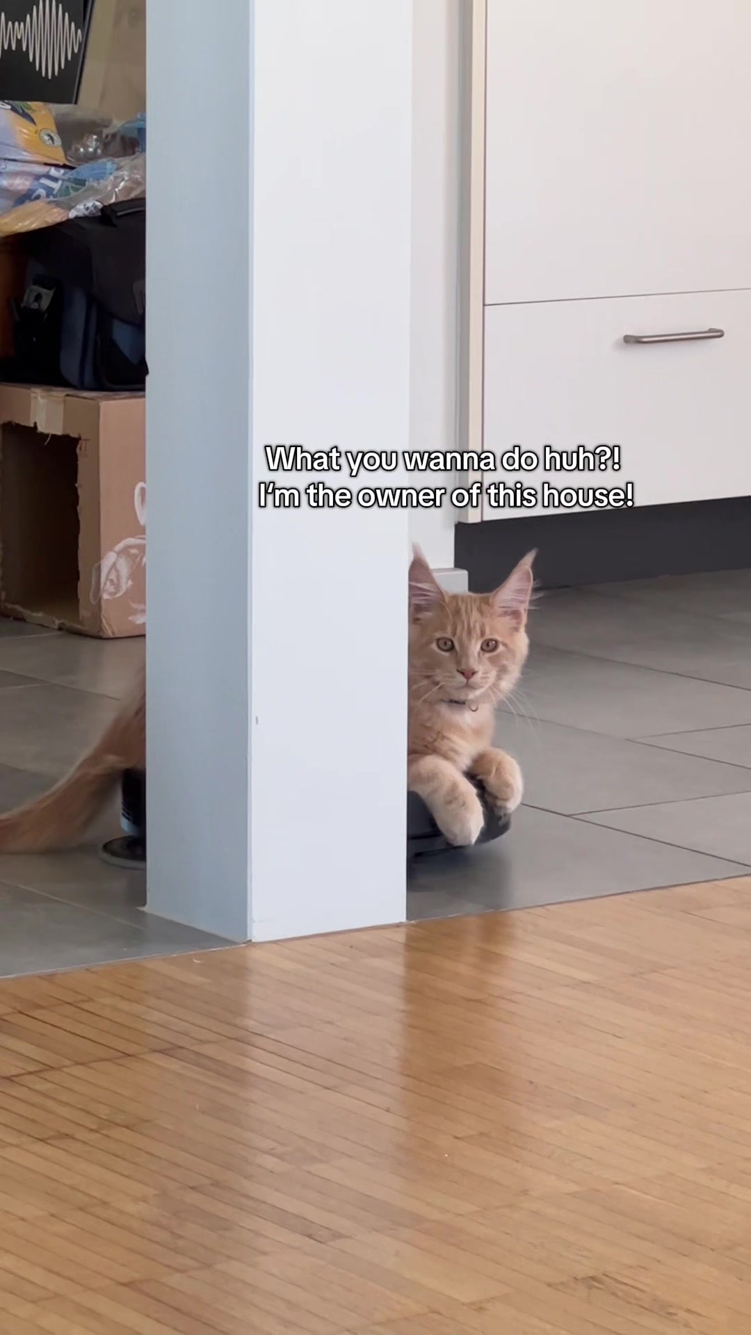 @Arielle Peach