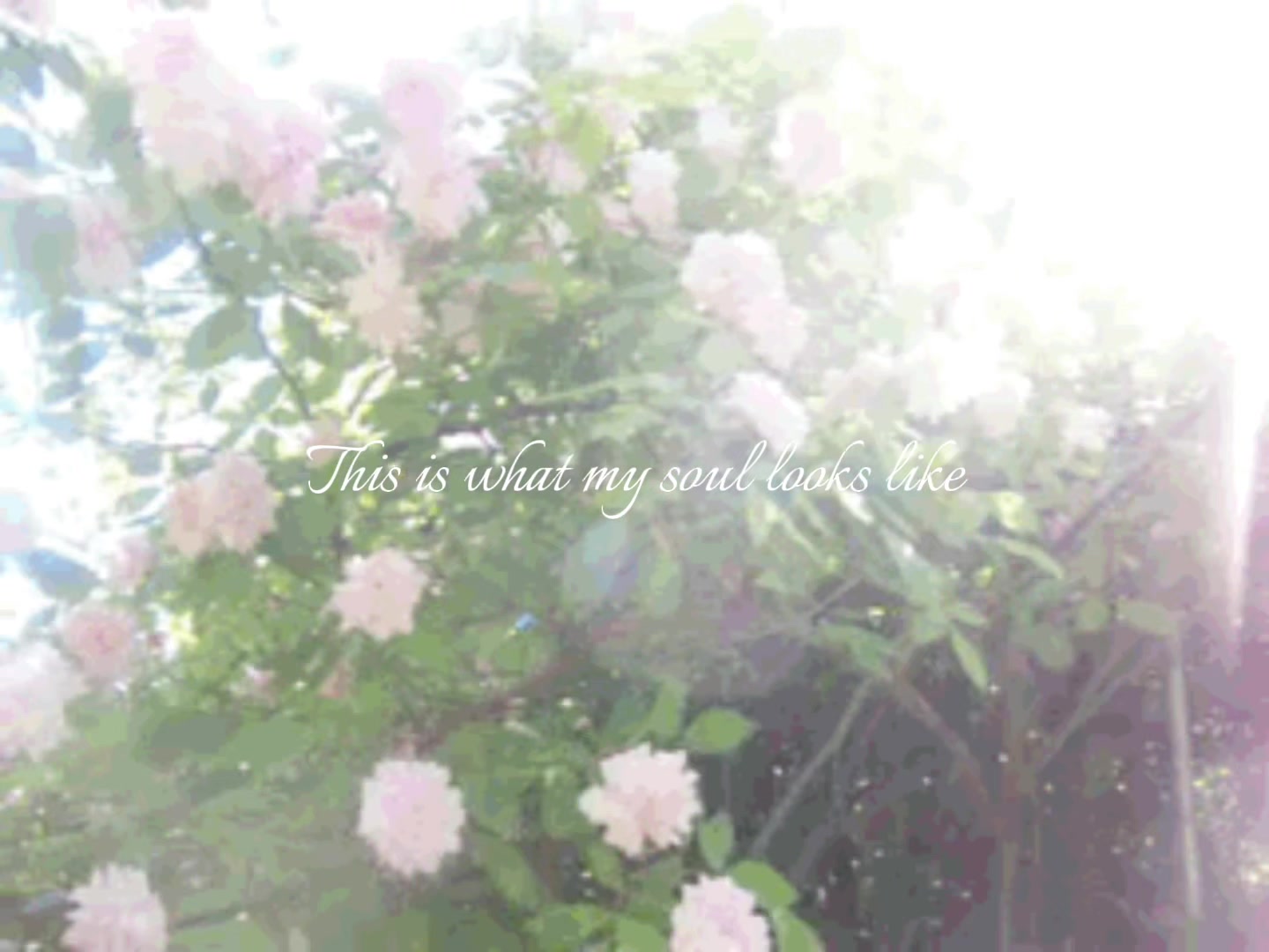 @𝜗𝜚˚⋆. Elle ☕️⚯ ͛