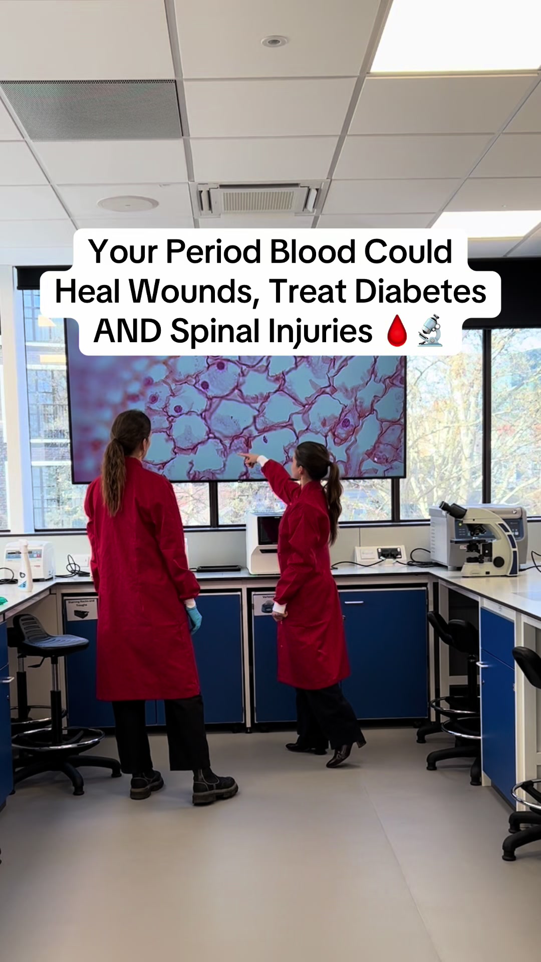 @DITTO - Menstrual Research