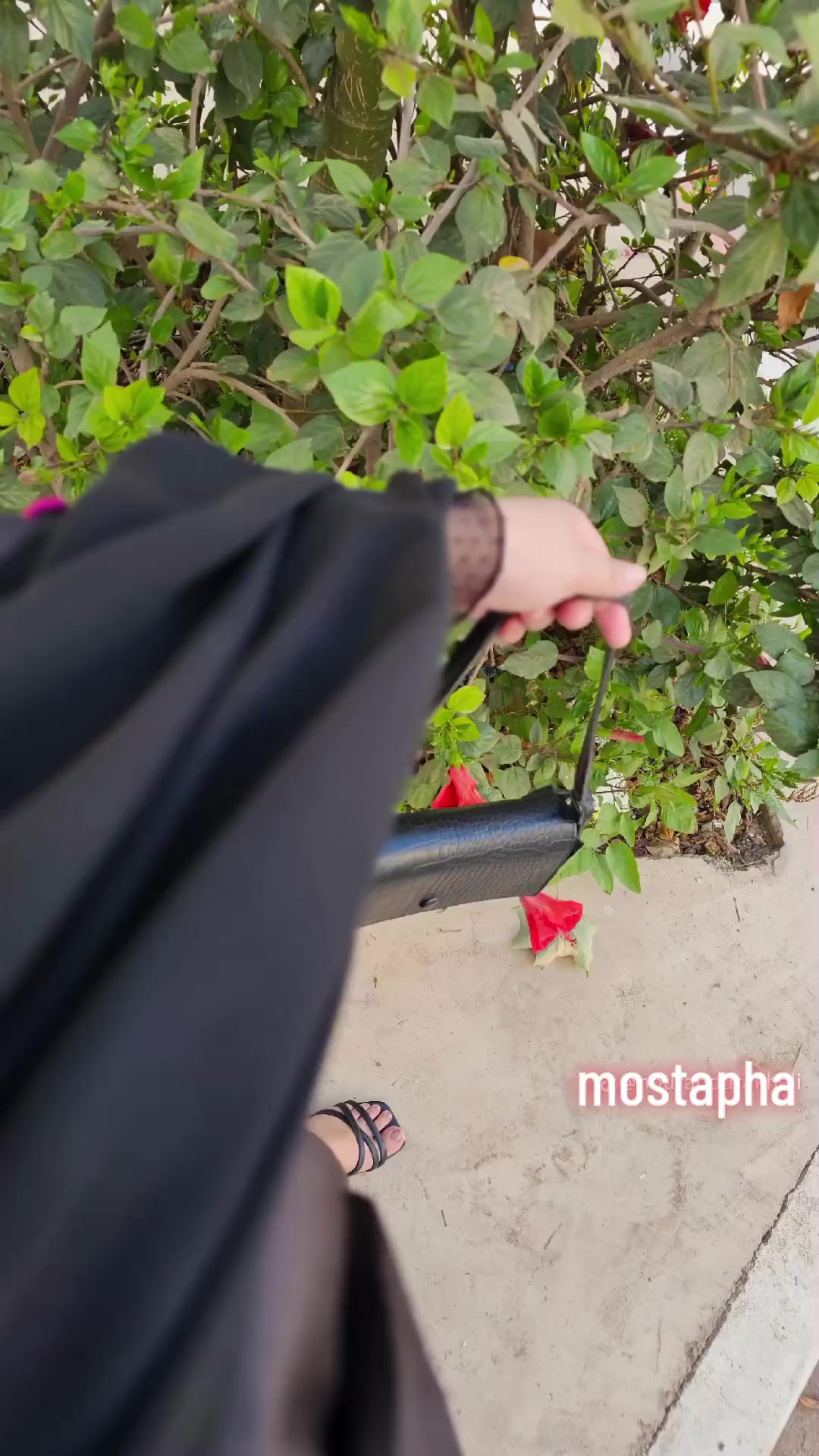 @Mostapha Mildly