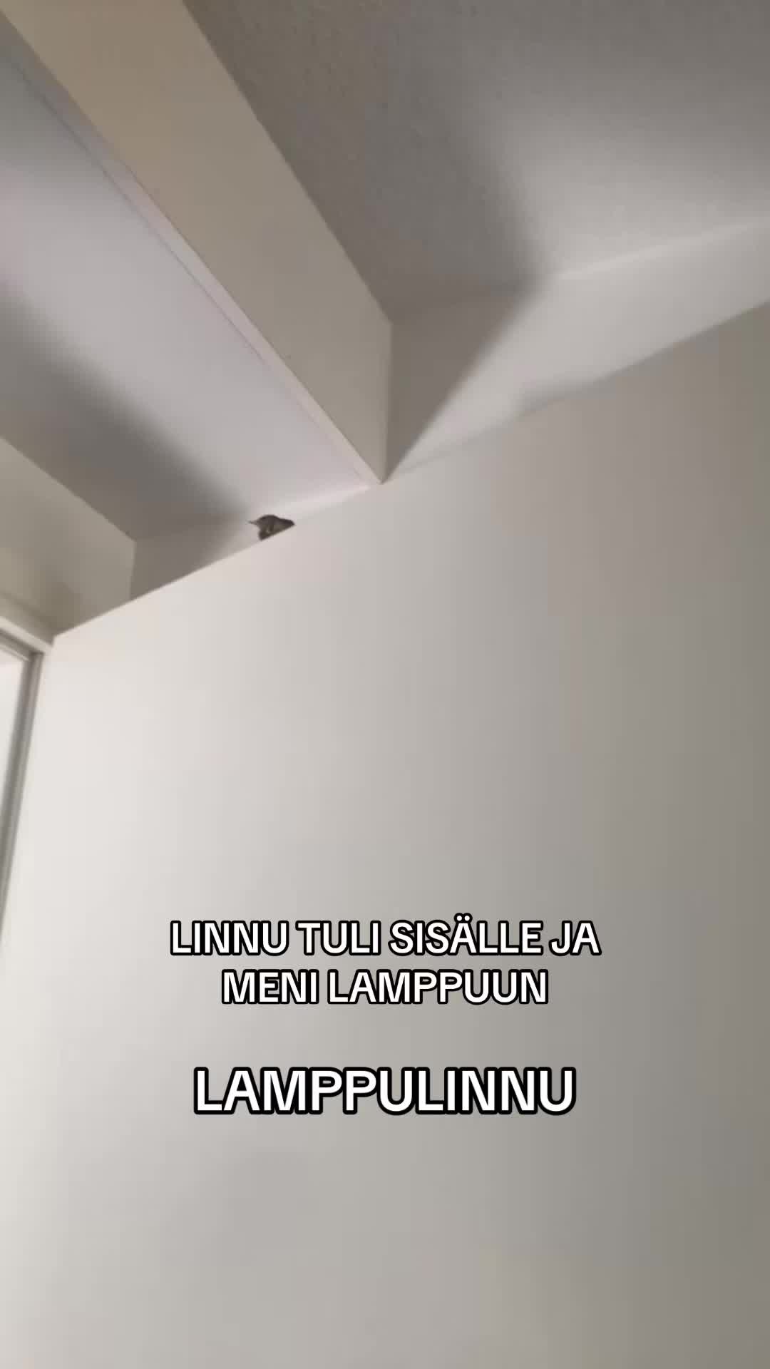 @Kaisla