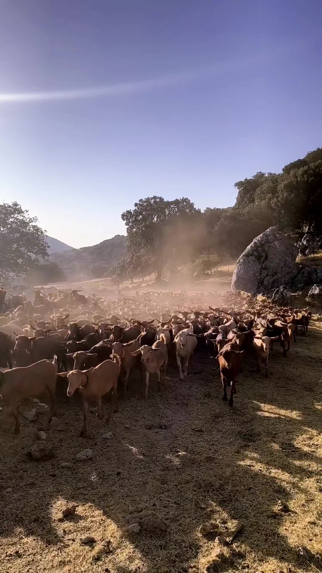 @juan.AKAB.ElCabrero