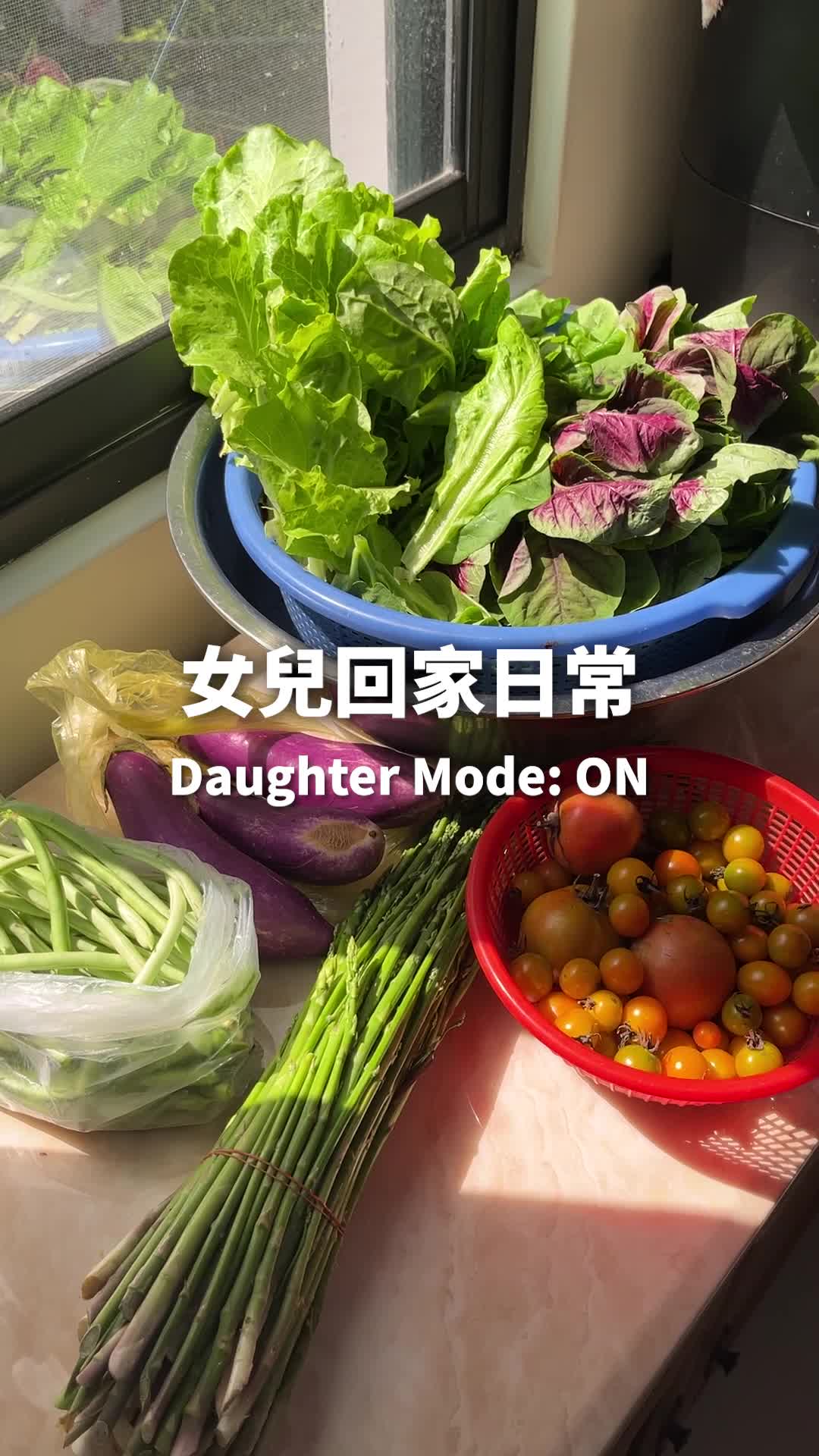 @桃漂屁屁雅