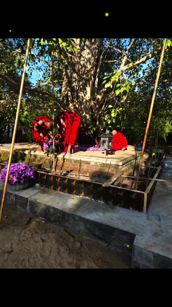 @Udayangani Dharamapala
