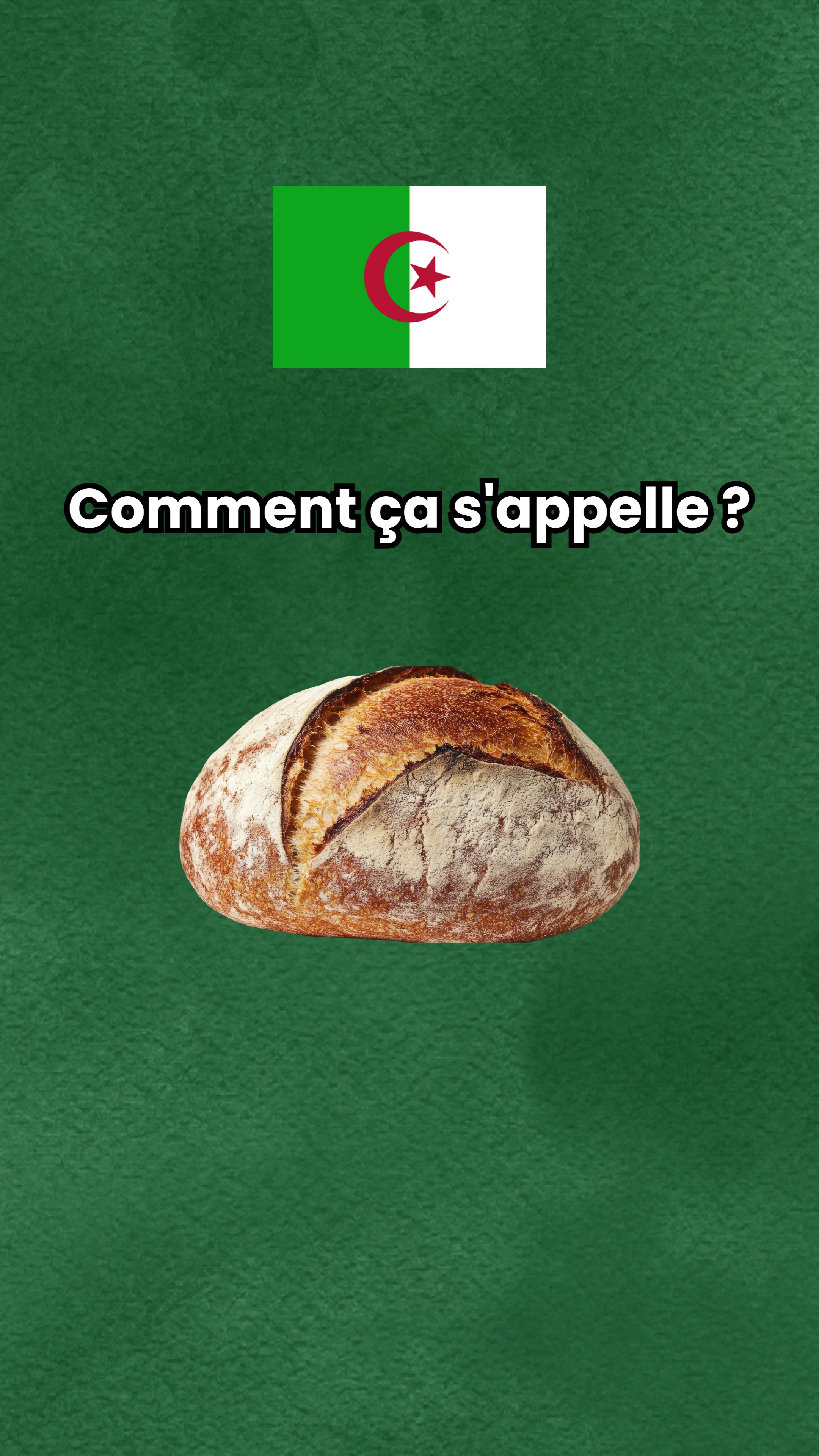 @parler_algerien