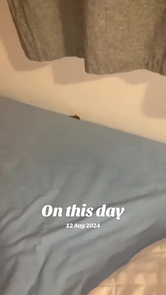 @ChloeDelaney2003
