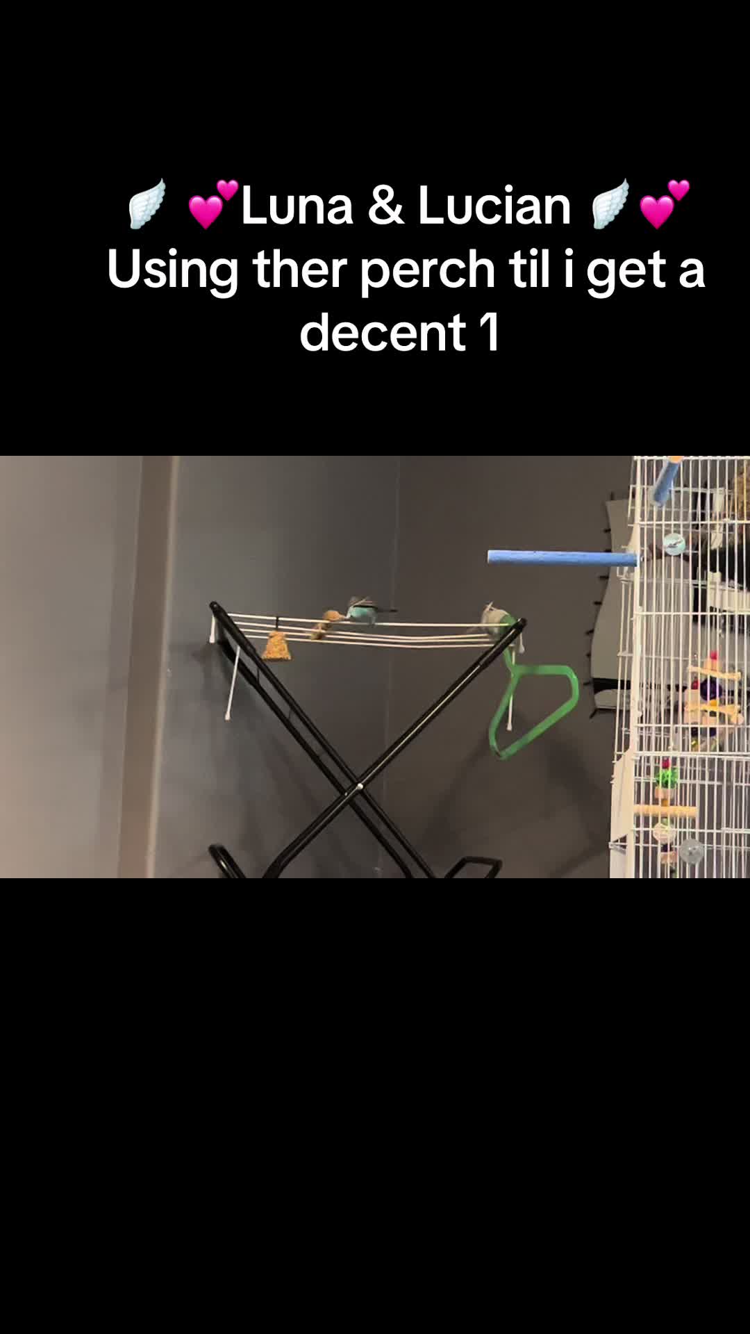@Dee