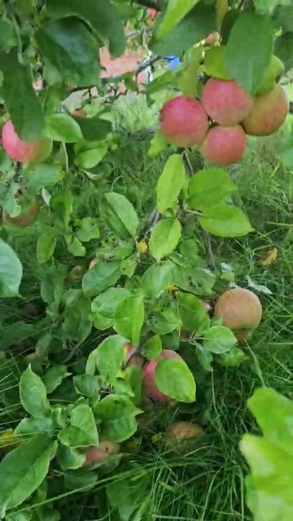 @Bimala Khatri