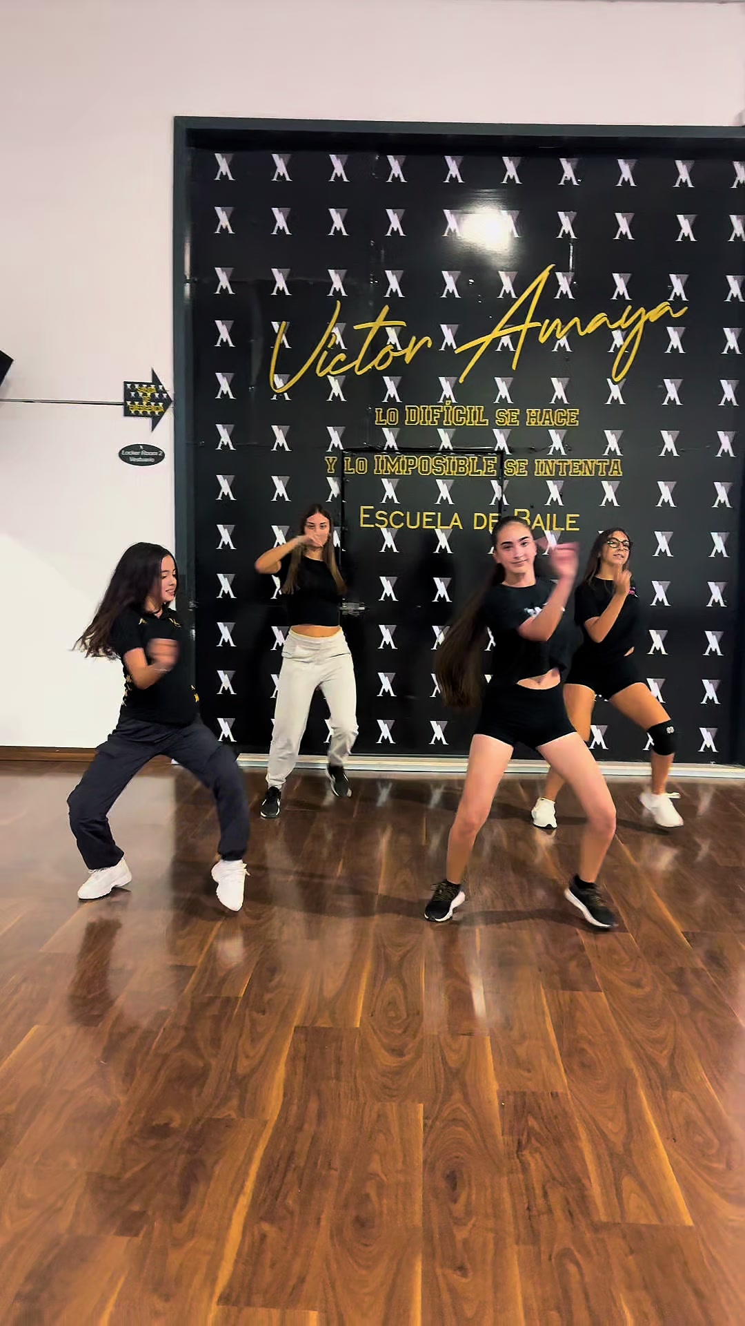 @escuelavictoramaya