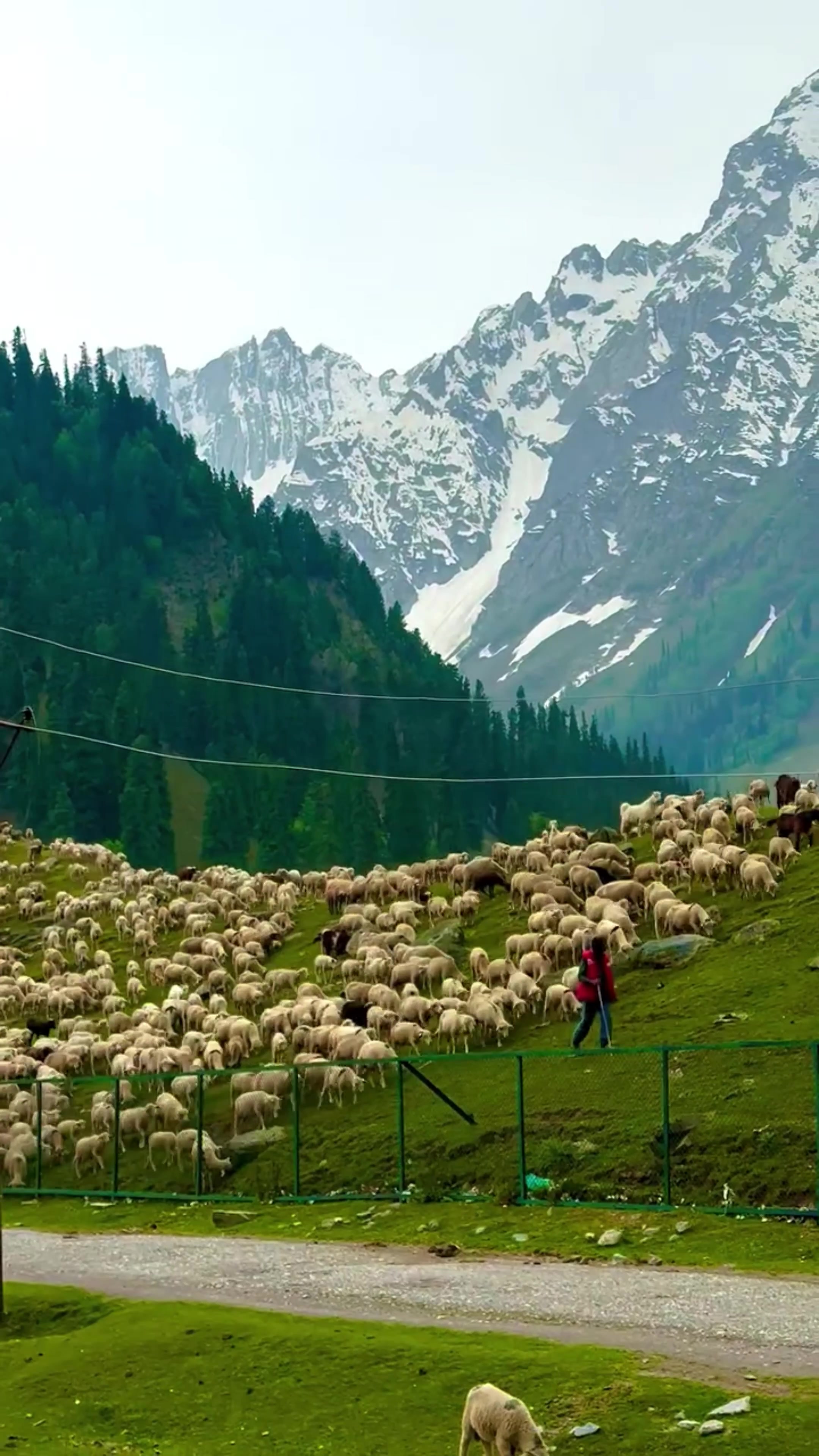@World 🌍 beauty