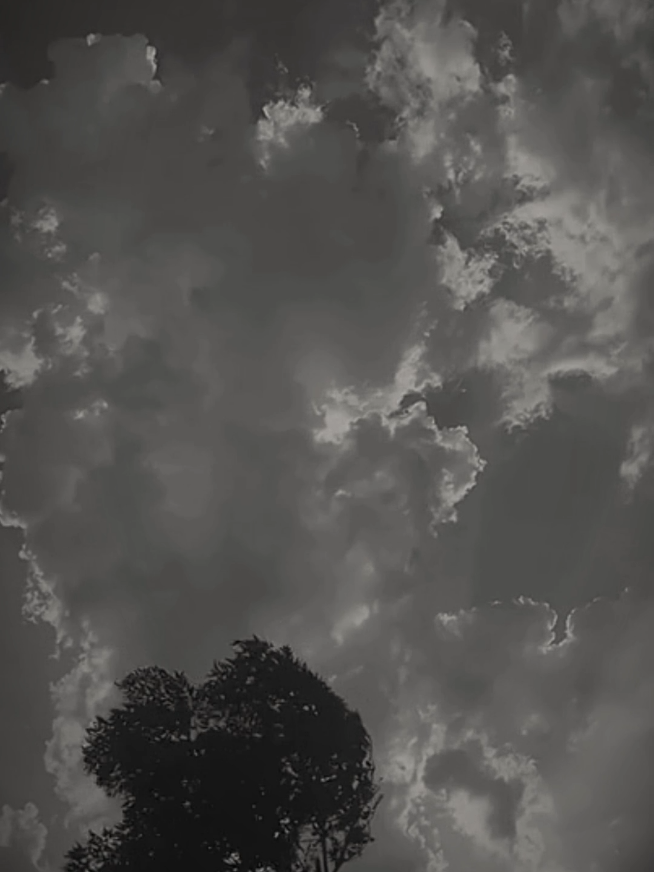 @𓆩⍣⃝𝙏𝙖𝙮𝙖𝙗 𝙎𝙞𝙗𝙩𝙖𝙞𝙣࿐