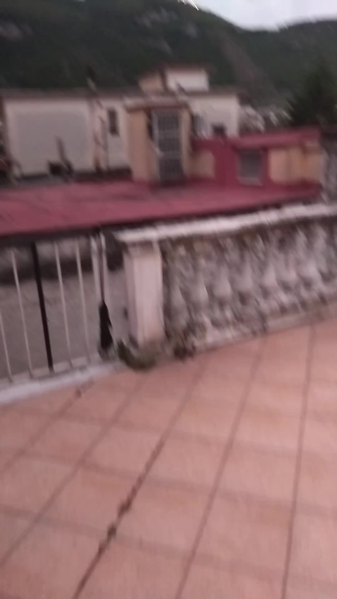 @luigidantuono7