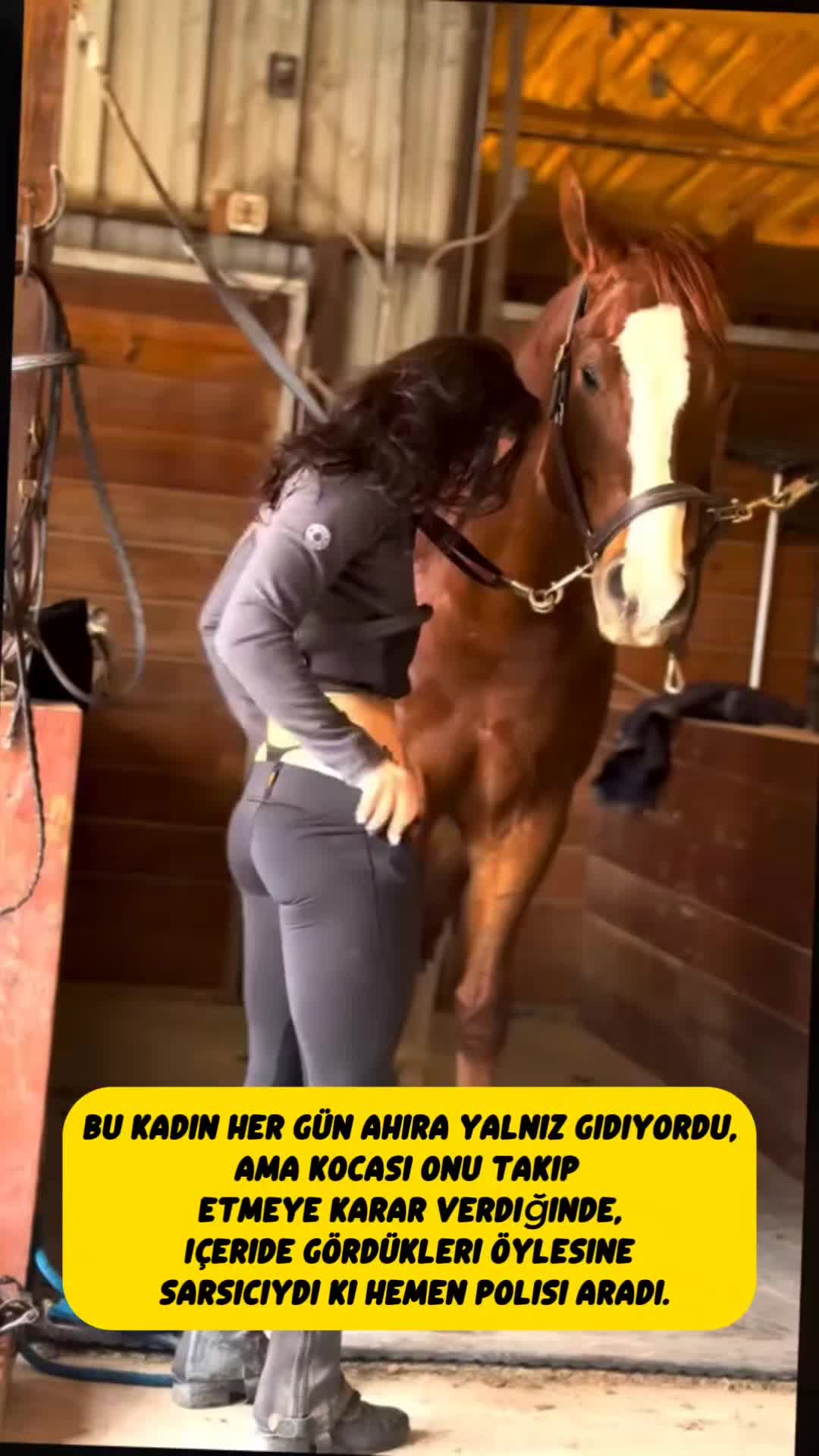 @sonsuzbilgi3