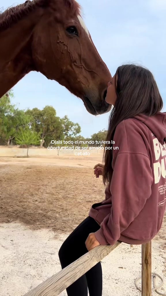 @MyHorse
