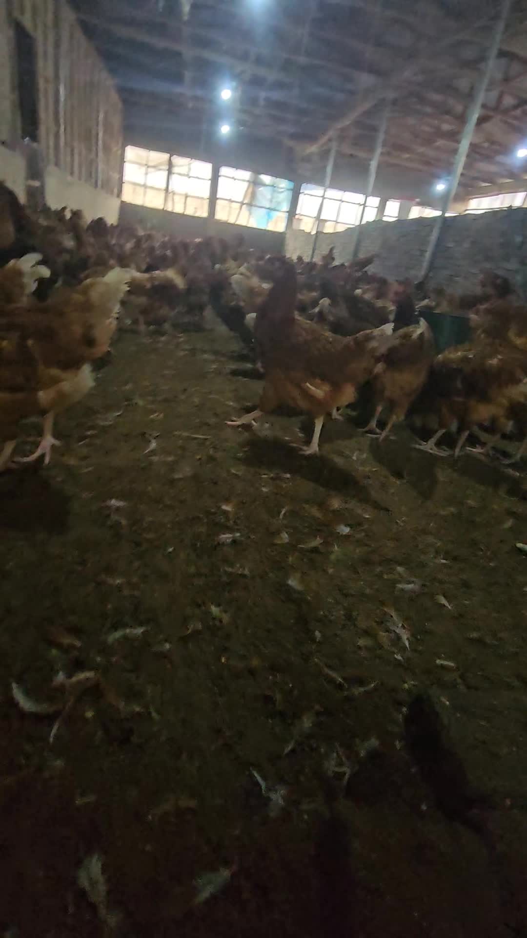 @thetri farms