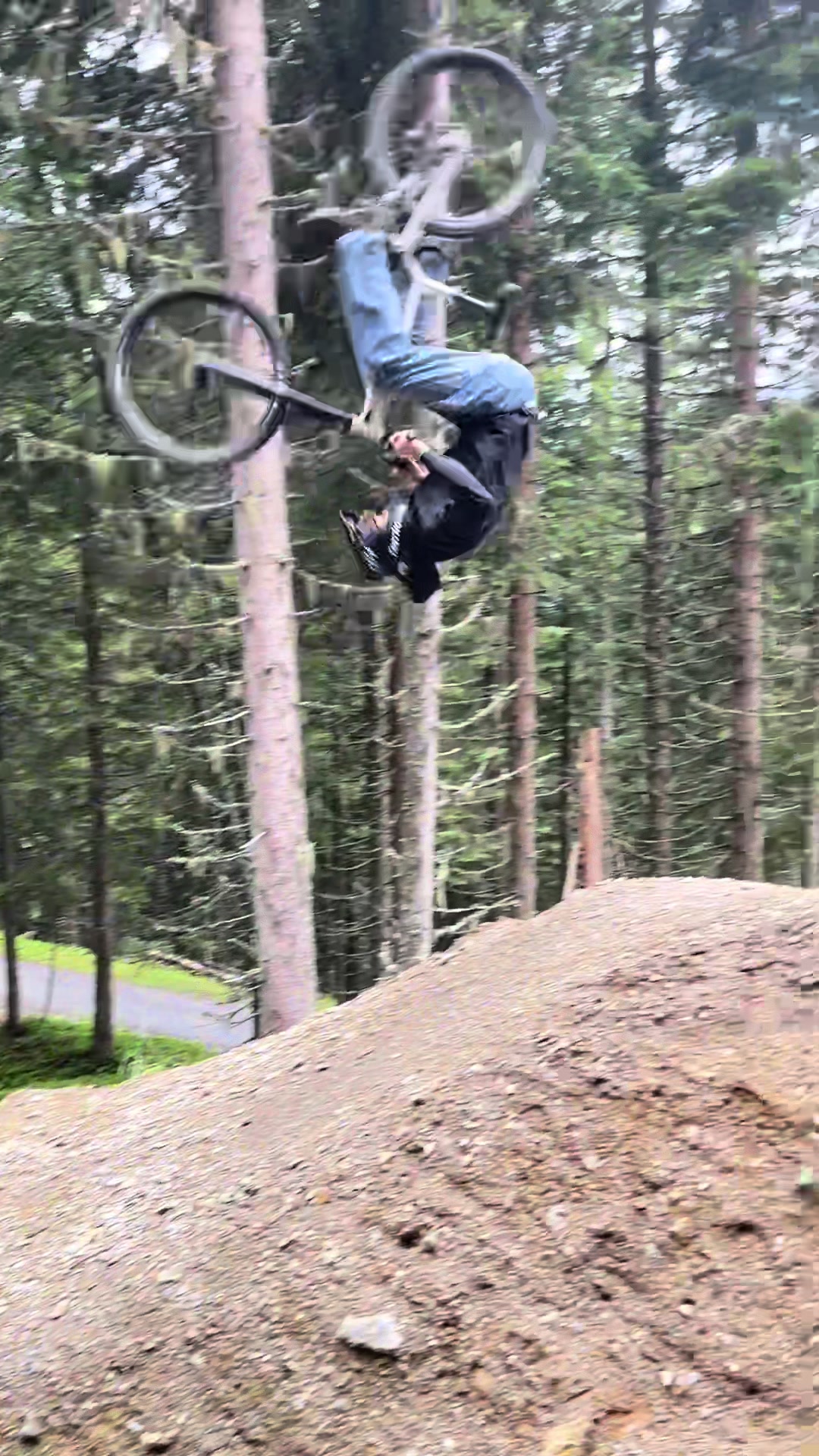 @🌲Freeride_Paul🌲