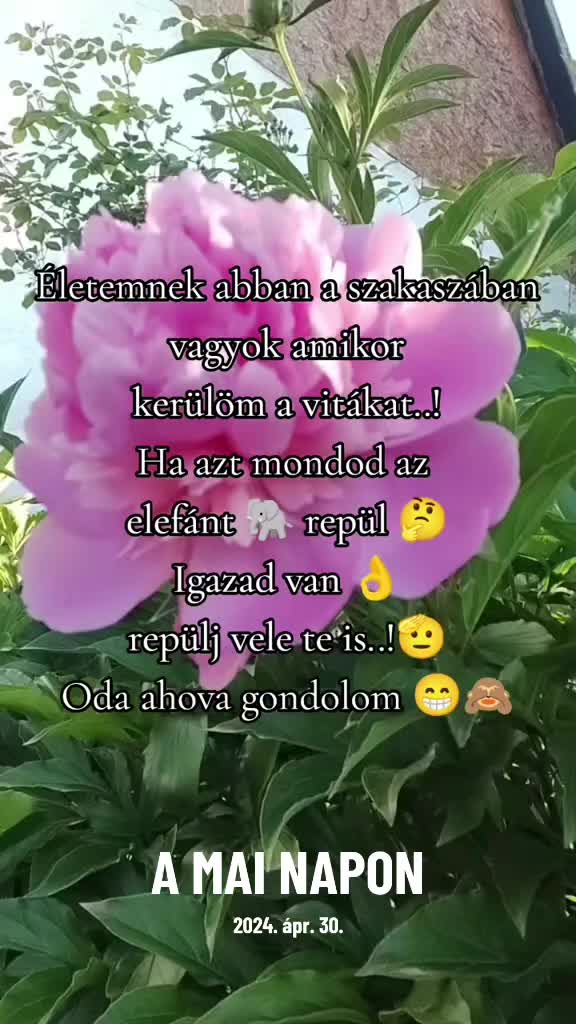 @Zsuzsa🥰