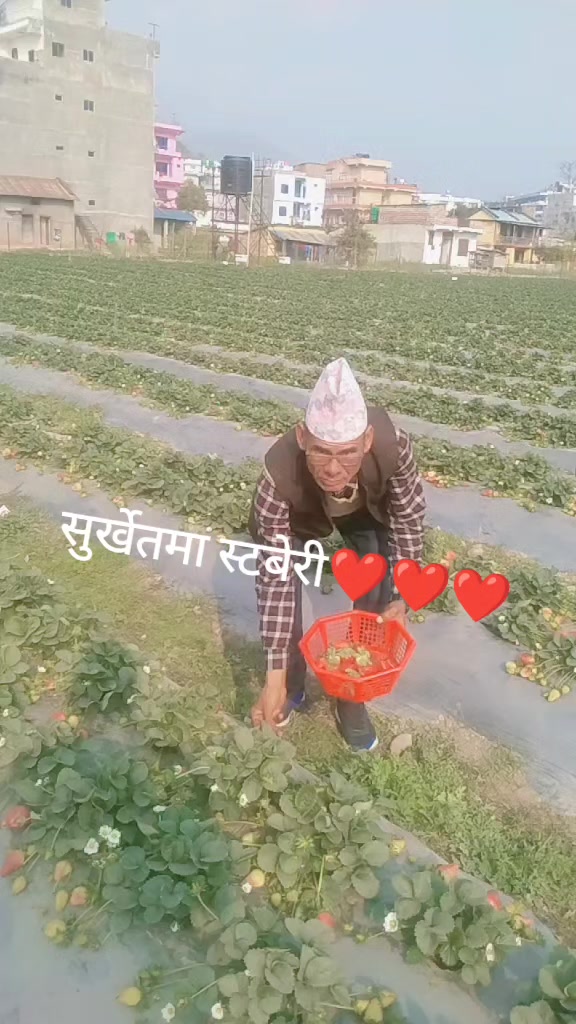 @Bhakta Shahi