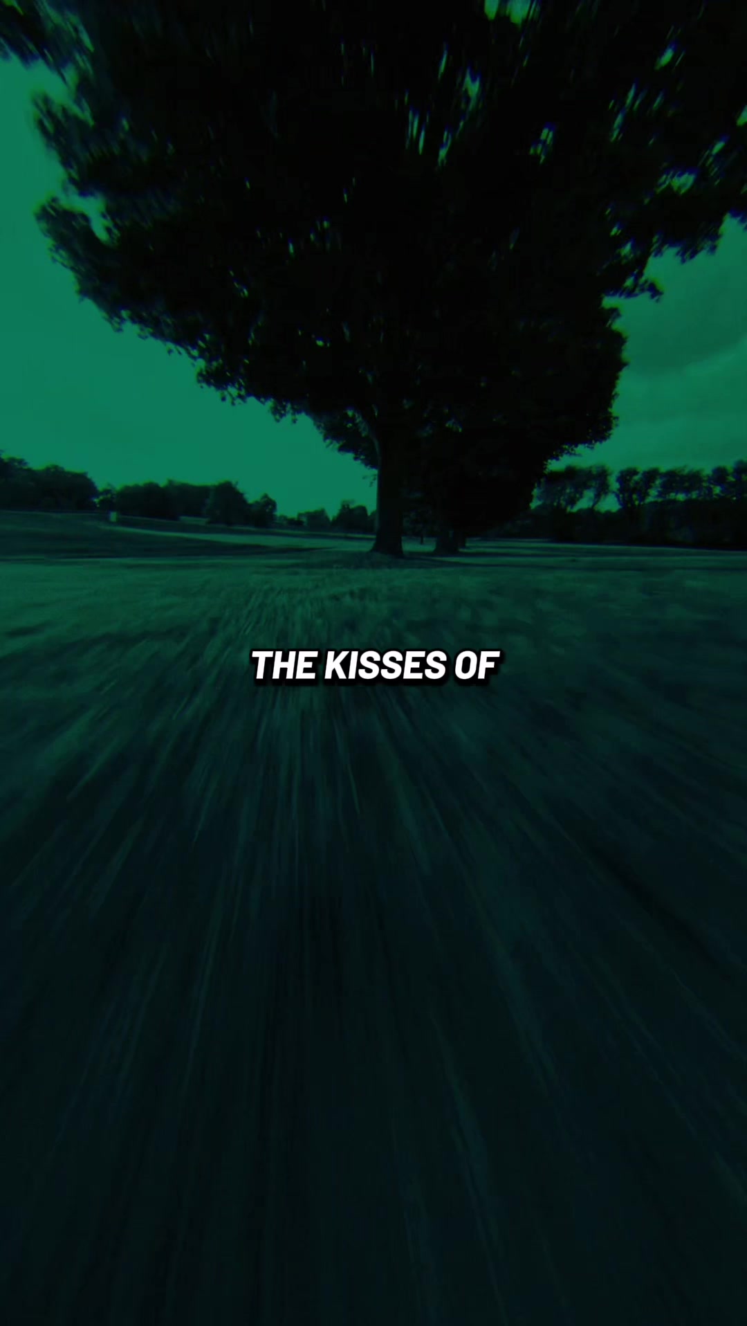 @music-vibes