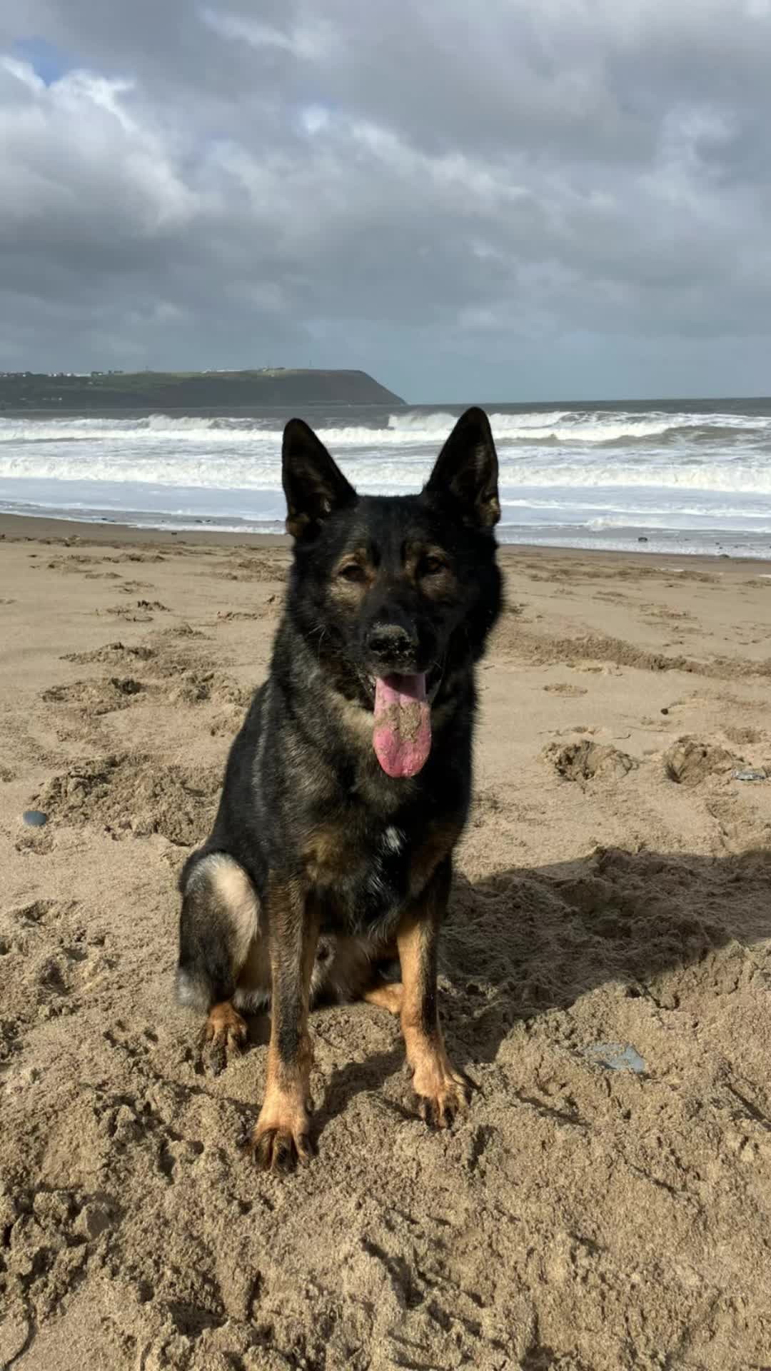 @Crazy GSD Lady