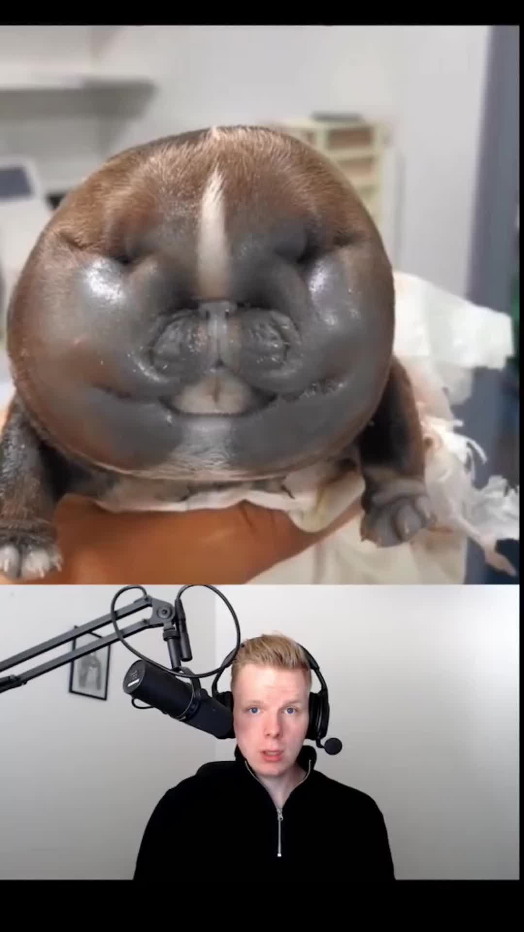 @Finnstories
