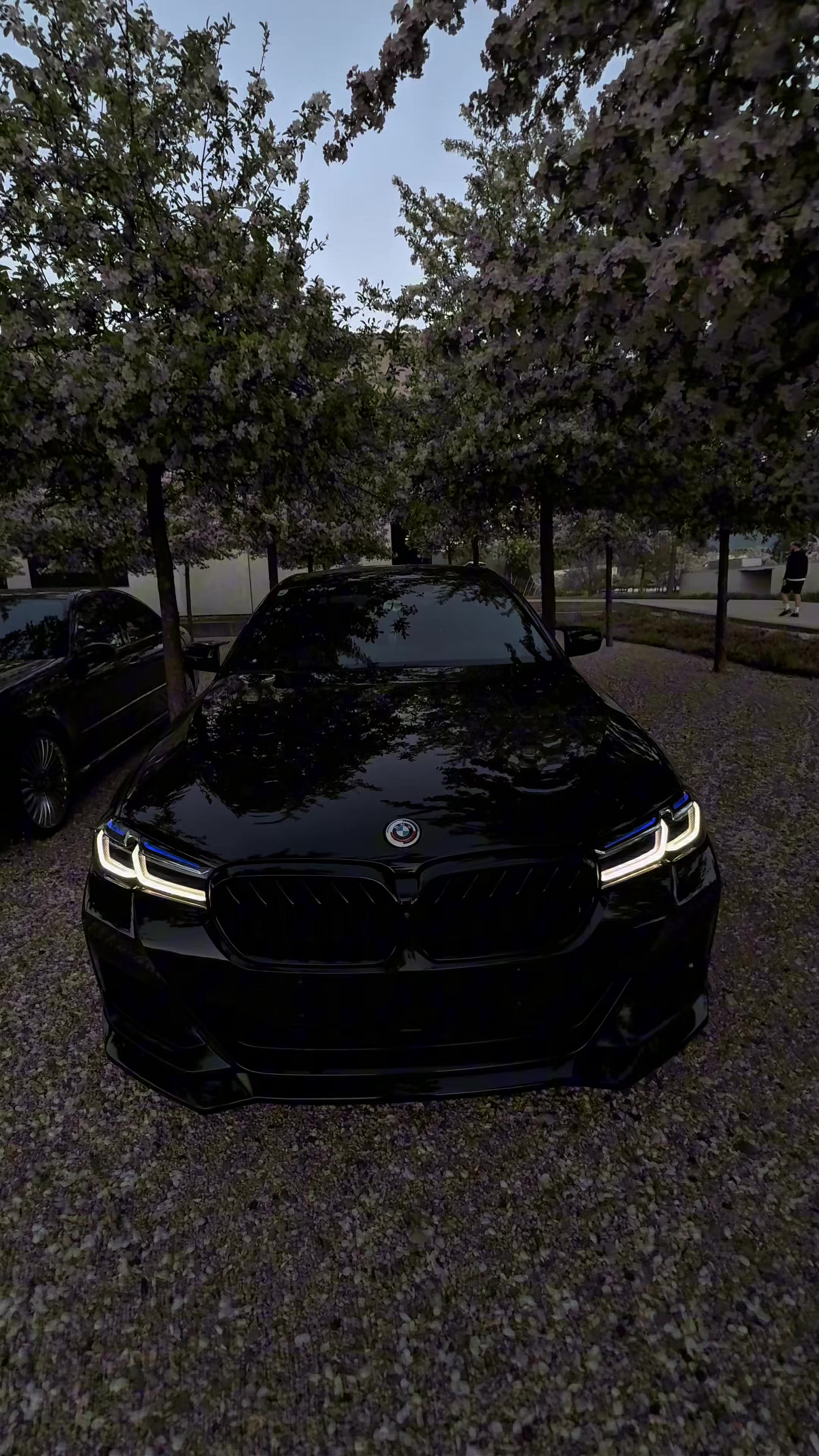 @ANDI7🦅
